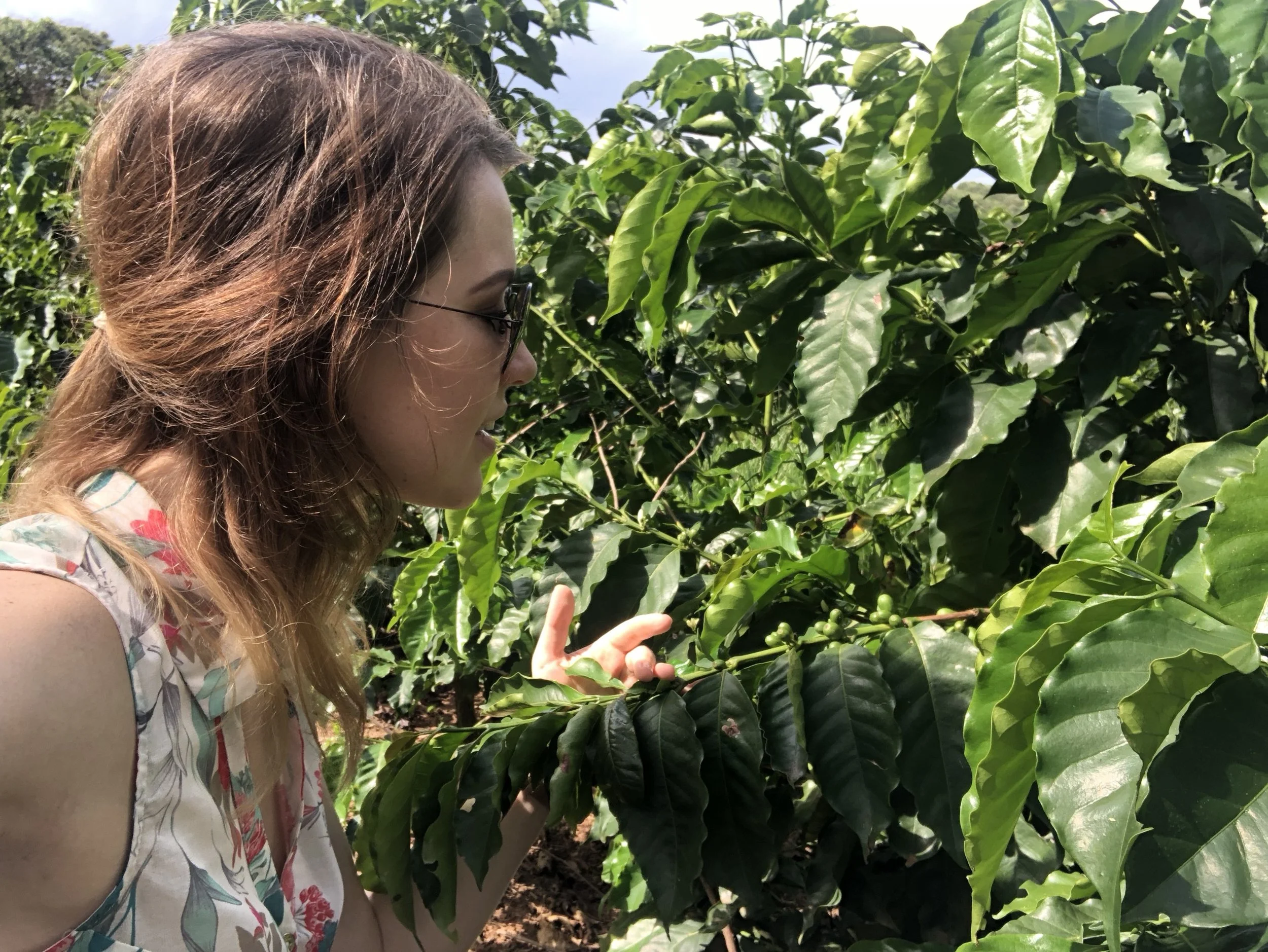 Brazil -  leading the fourth wave?  