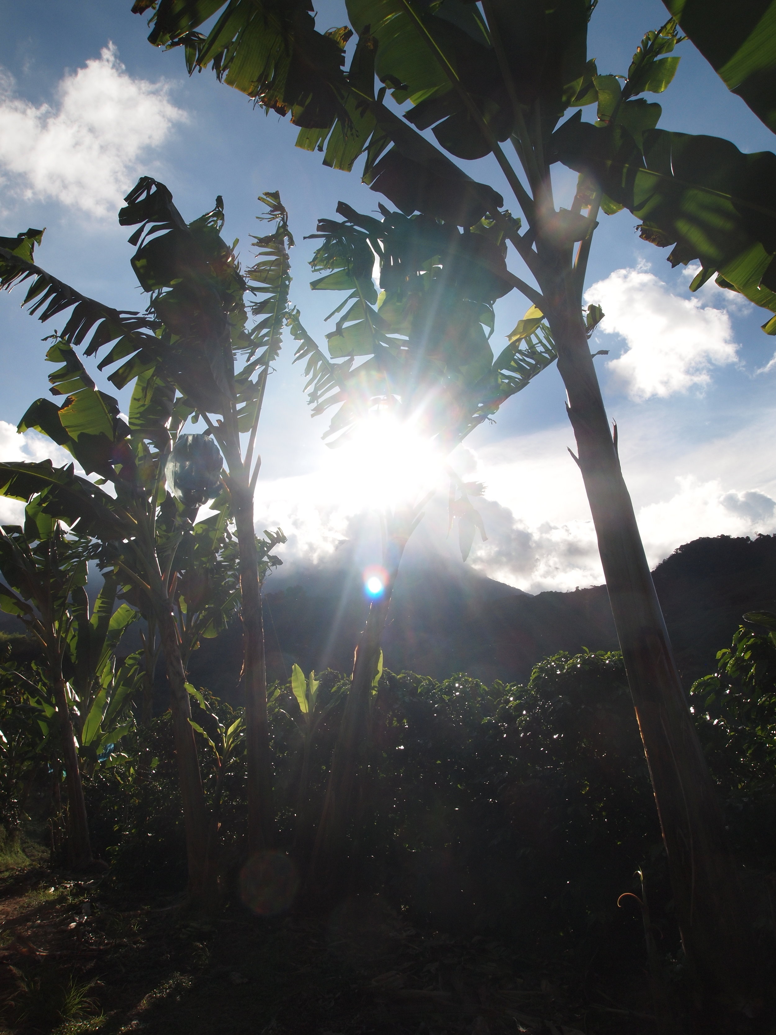 Valle del Cauca, Colombia