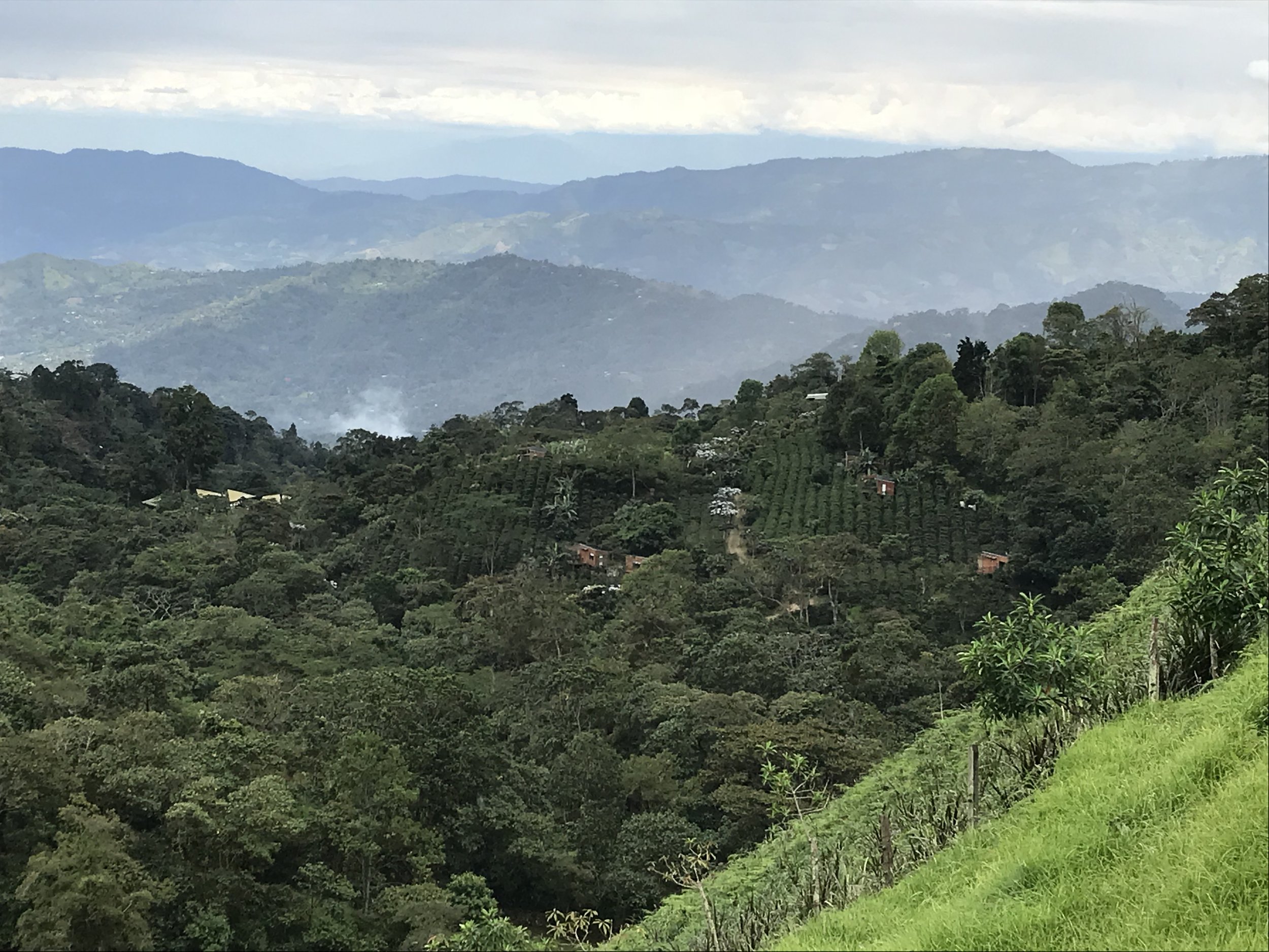 La Palma y El Tucan, Cundinamarca, Colombia