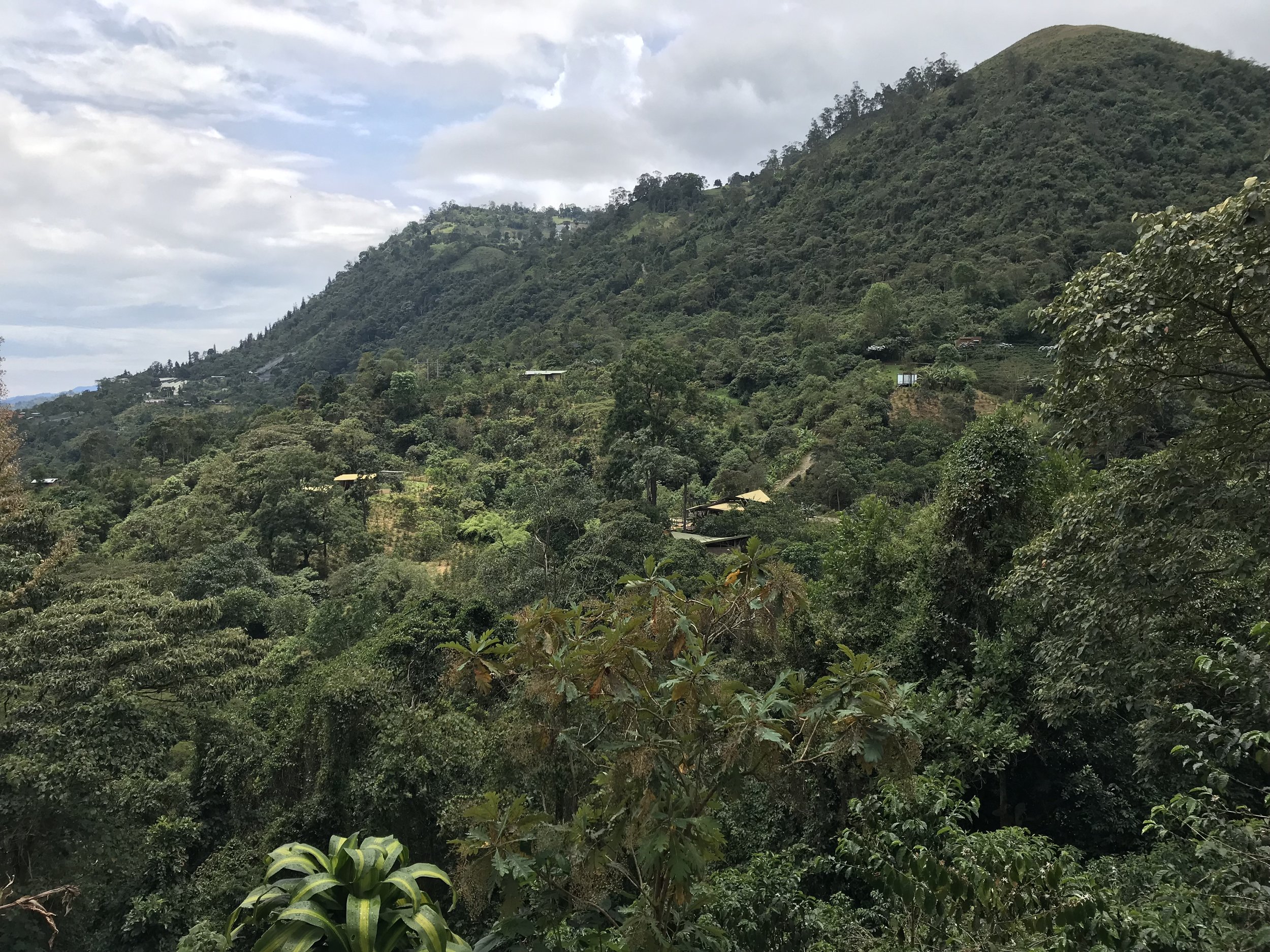 La Palma y El Tucan