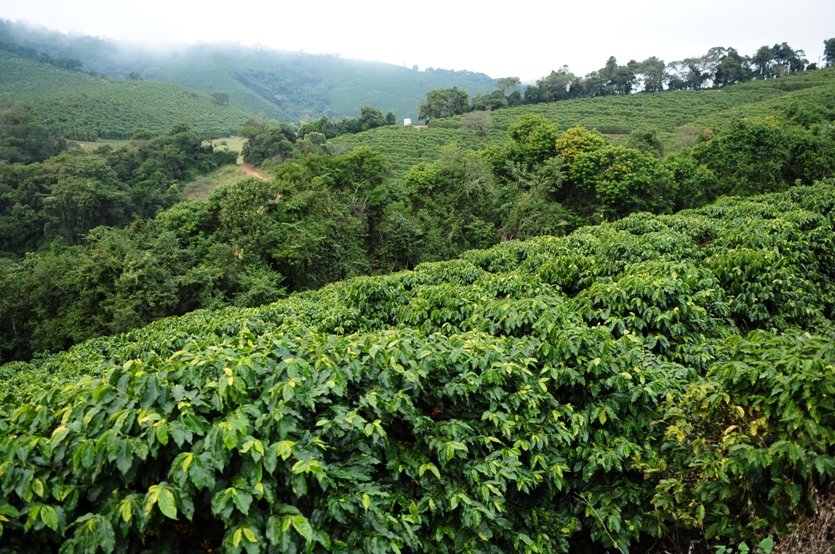 Fazenda Santa Ines