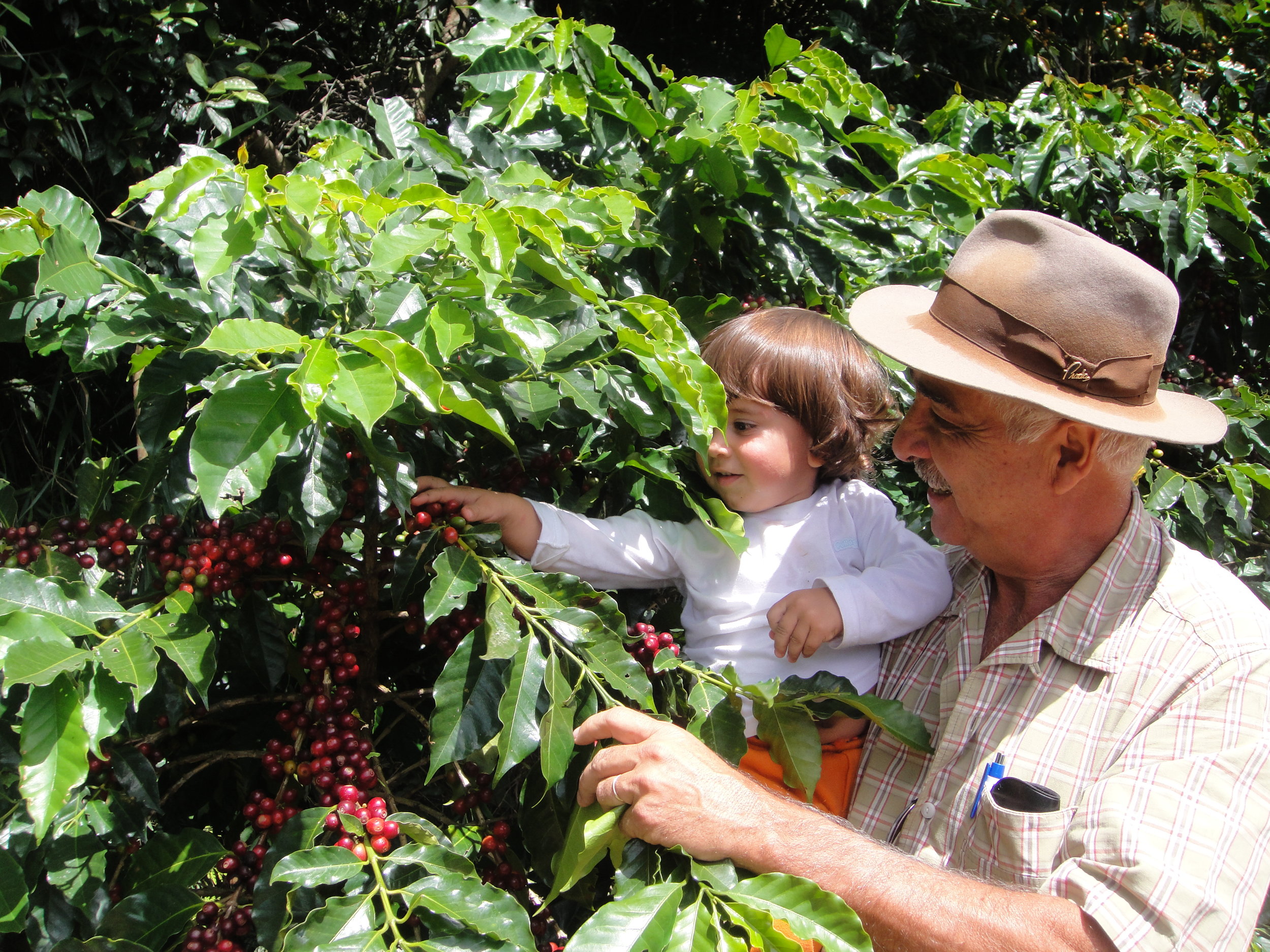 Fazenda Santa Lucia