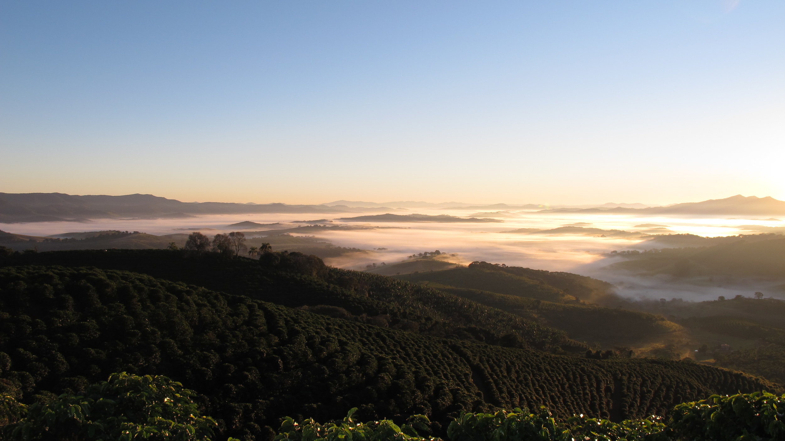 Fazenda Sertao