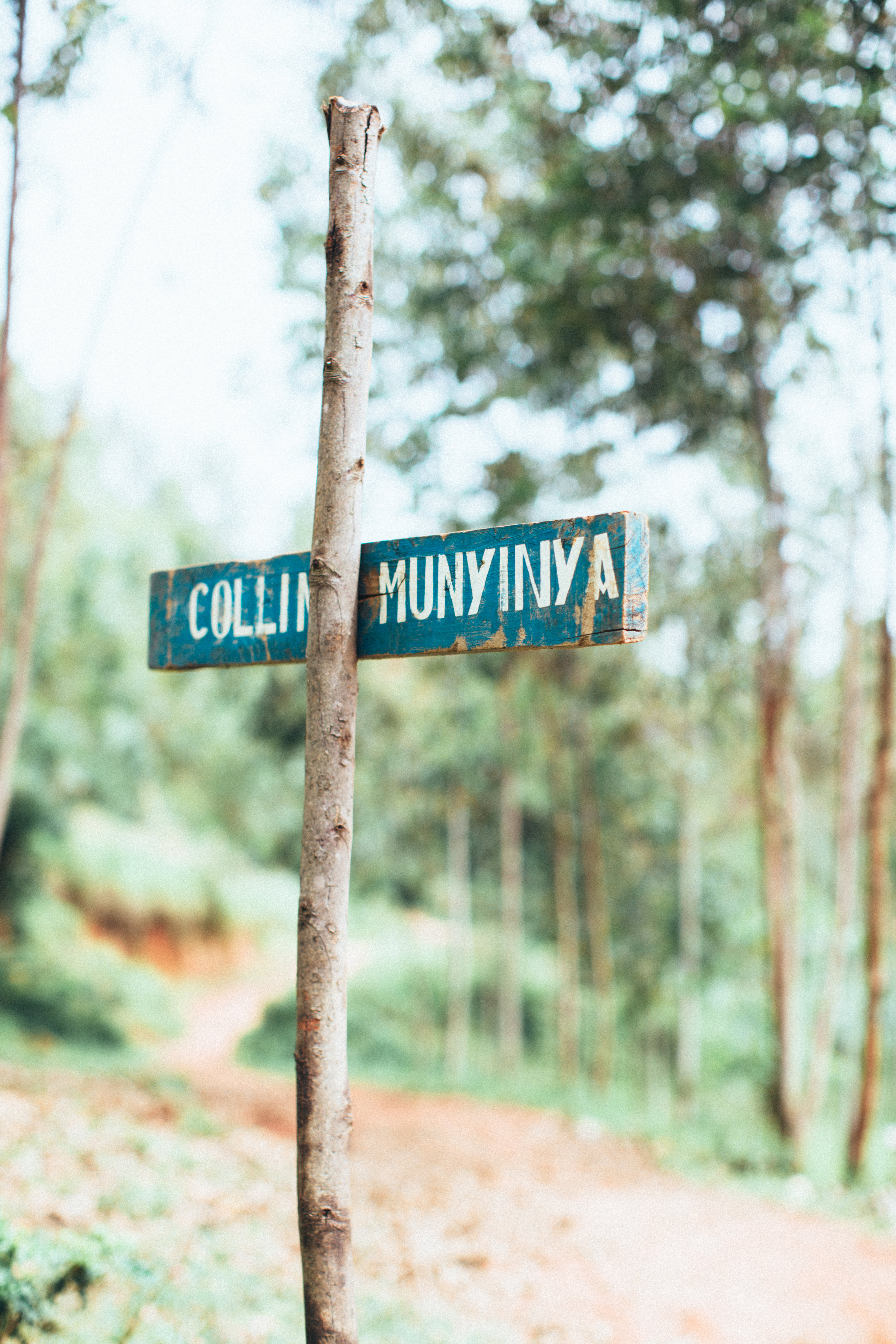 Munyinya Hill, photo courtesy of Long Miles Coffee Project