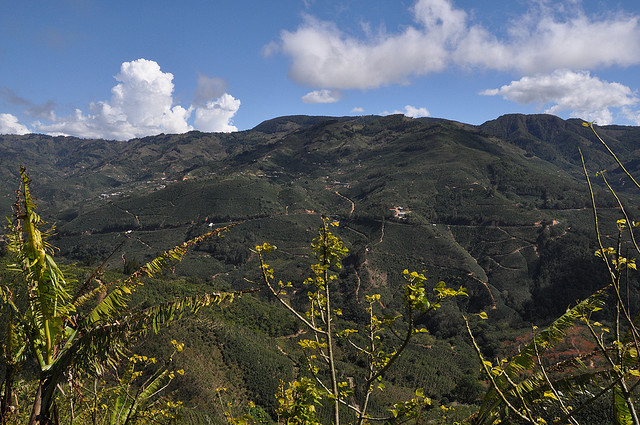 Tarrazu, Costa Rica