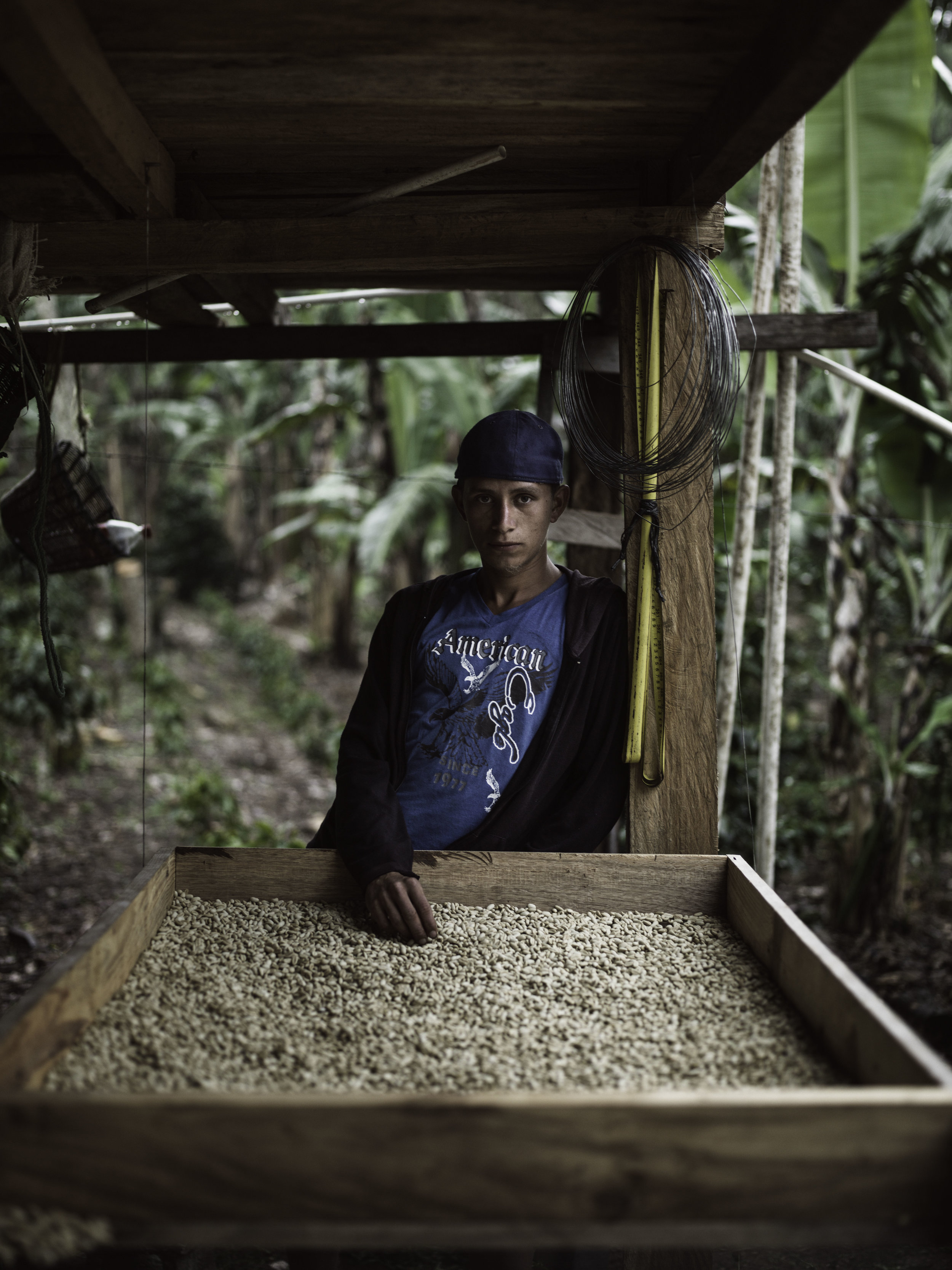 2014_03_06_tk_for_better_coffee_honduras_hasselblad-21_final.jpg