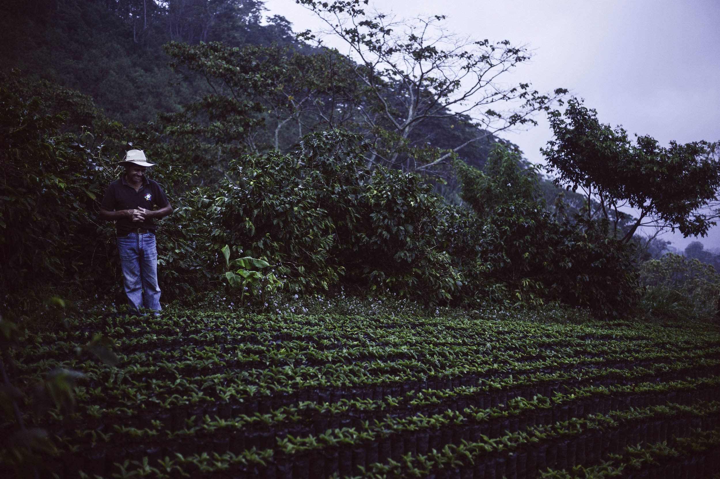 2014_03_06_tk_for_better_coffee_honduras_leica-124_final.jpg