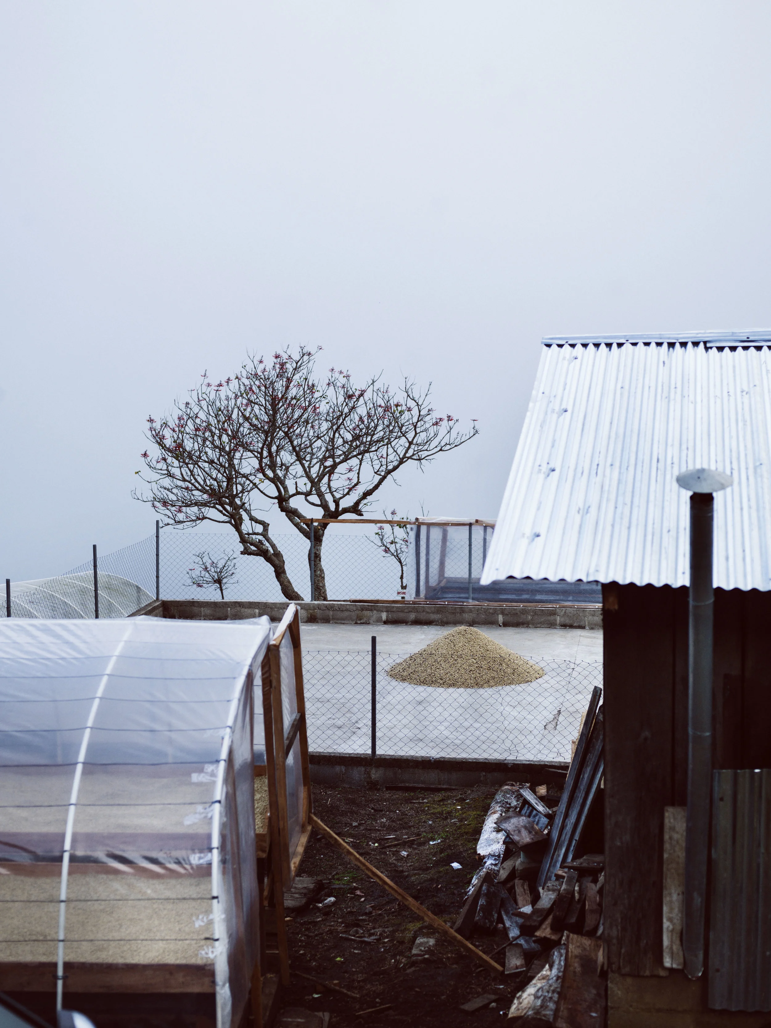 2014_03_08_tk_for_better_coffee_honduras_hasselblad-300_final.jpg