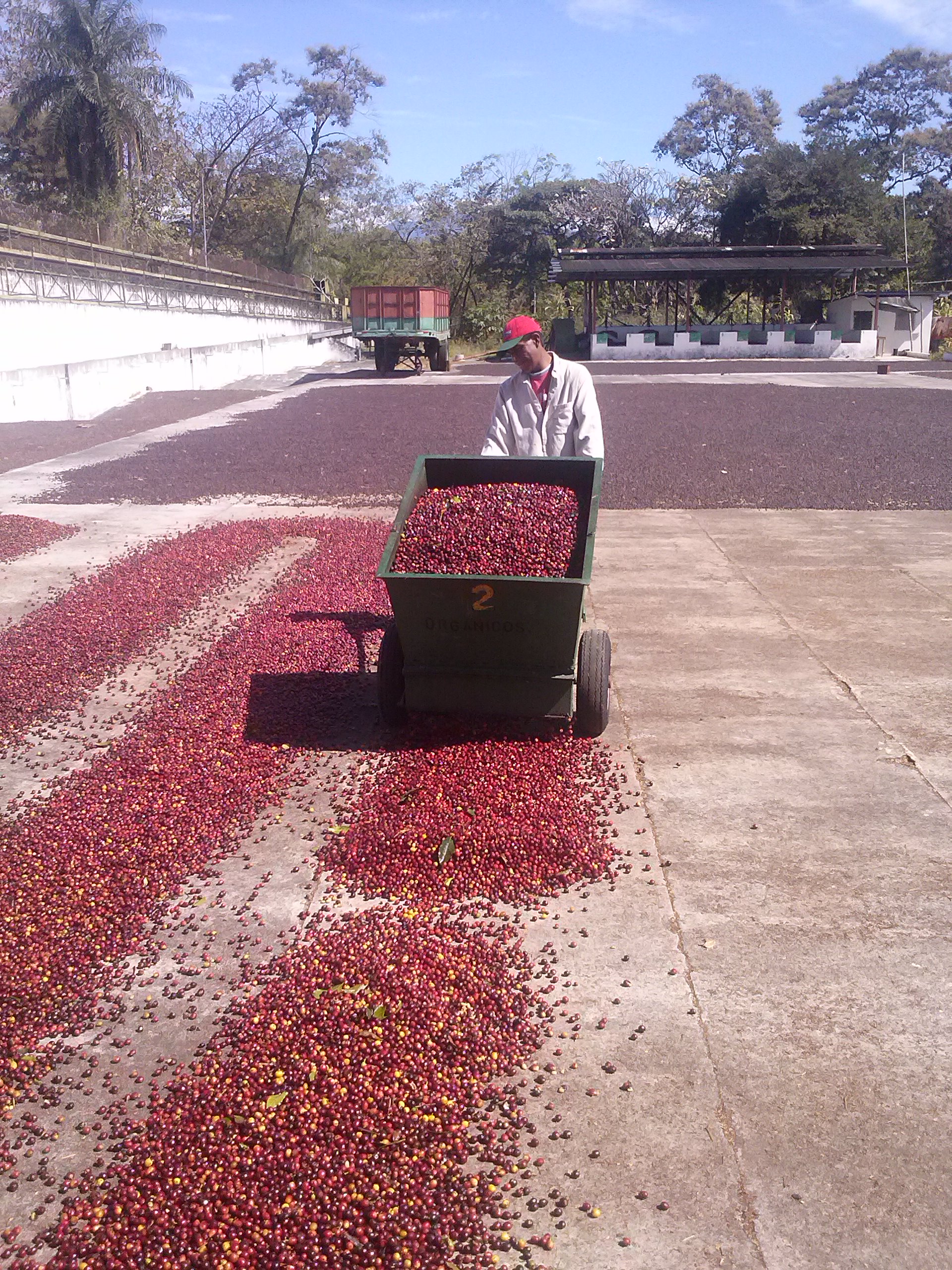 Finca Elida