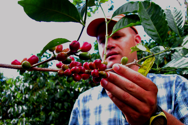 Finca Esmeralda