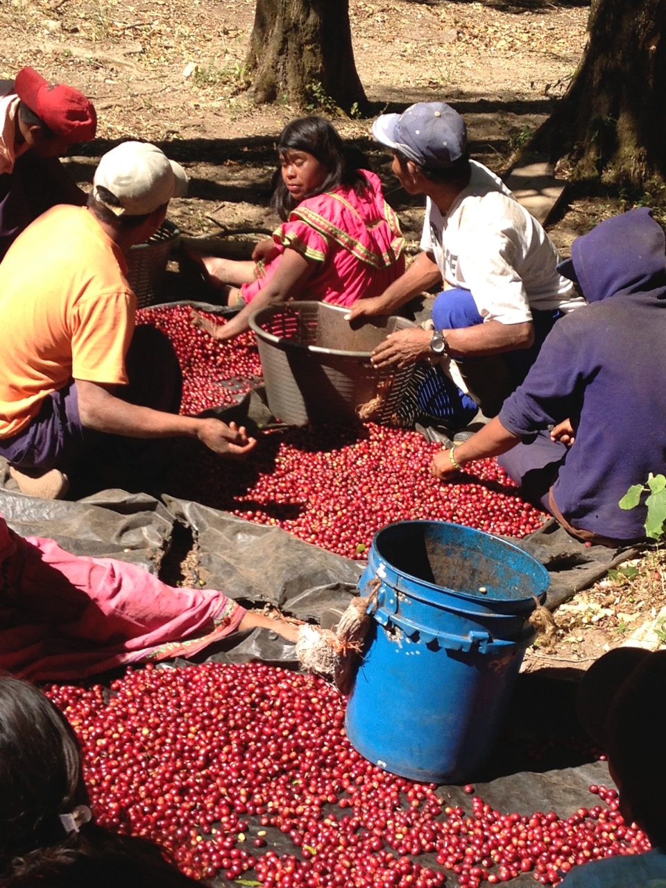 Finca Esmeralda