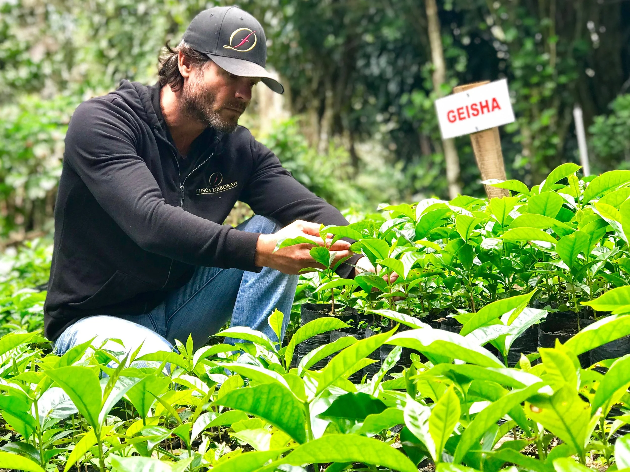 CCS Now to offer coffees from Finca Deborah 