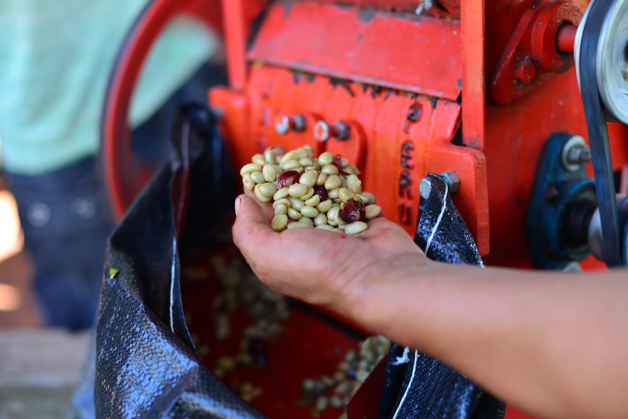 What to expect from our Peru Selection: Fall 2019