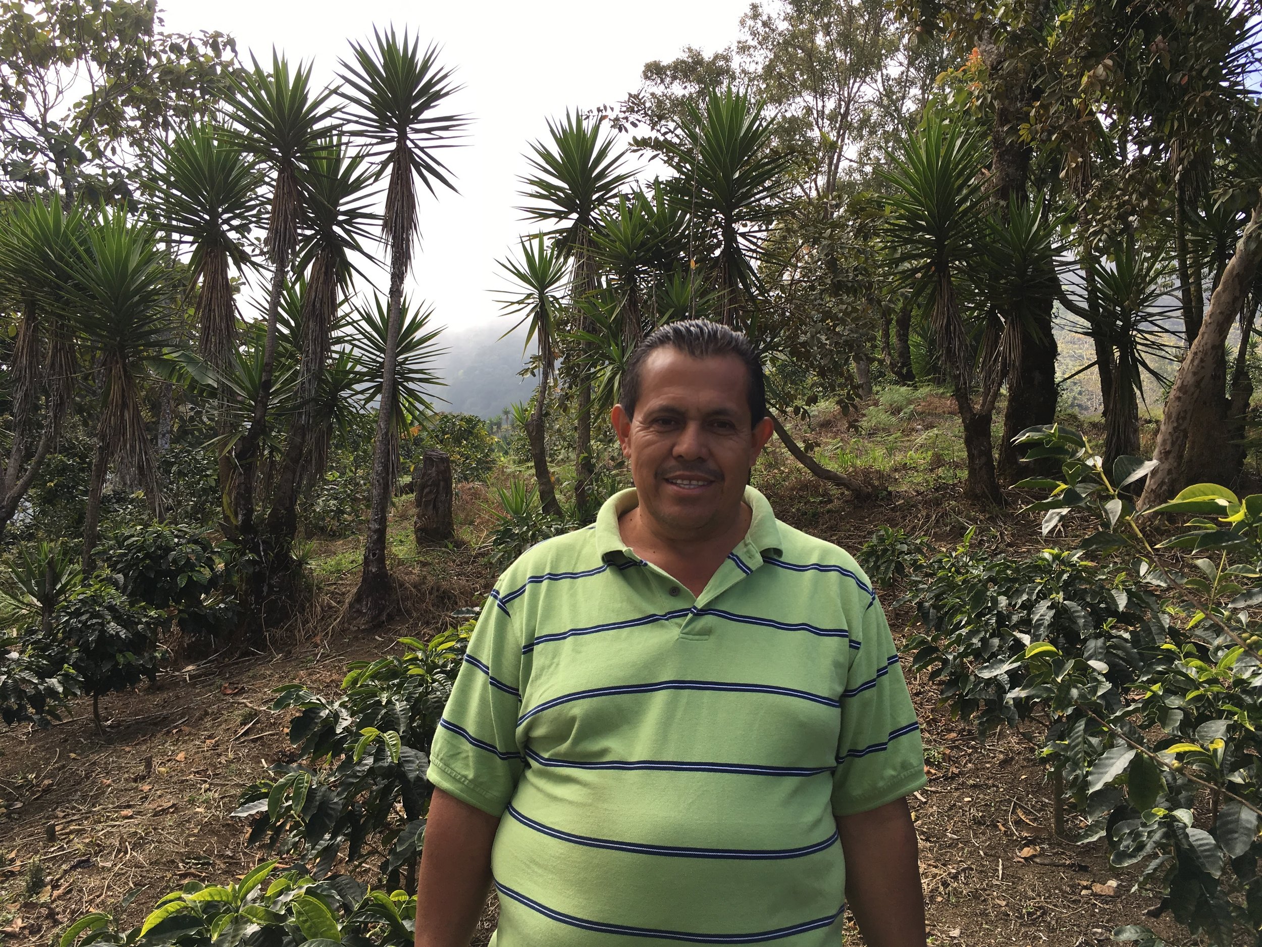 Luis Delcid: A Flower on a Cliff