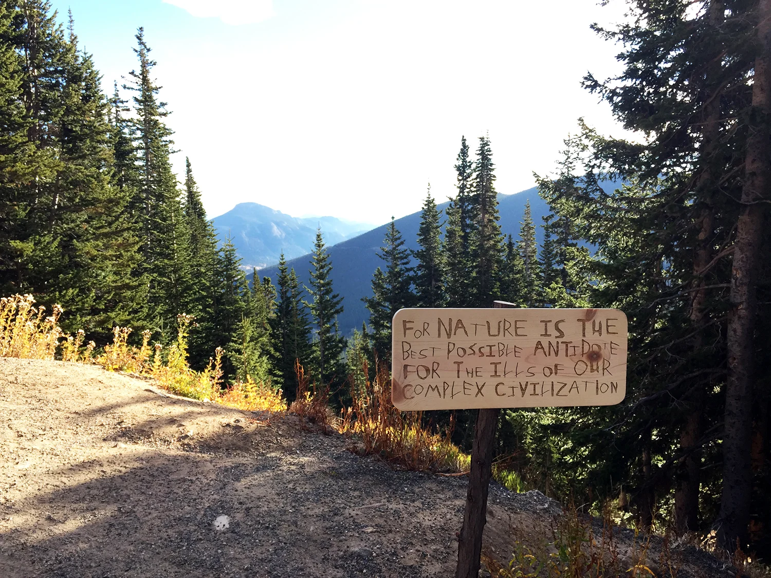   The Forests are the Flags  was a series of site-specific trail signs placed in Rocky Mountain National Park. I started the project by photographing dozens of aspen trees from RMNP that had people’s initials cut into them. From the photographs, I ac