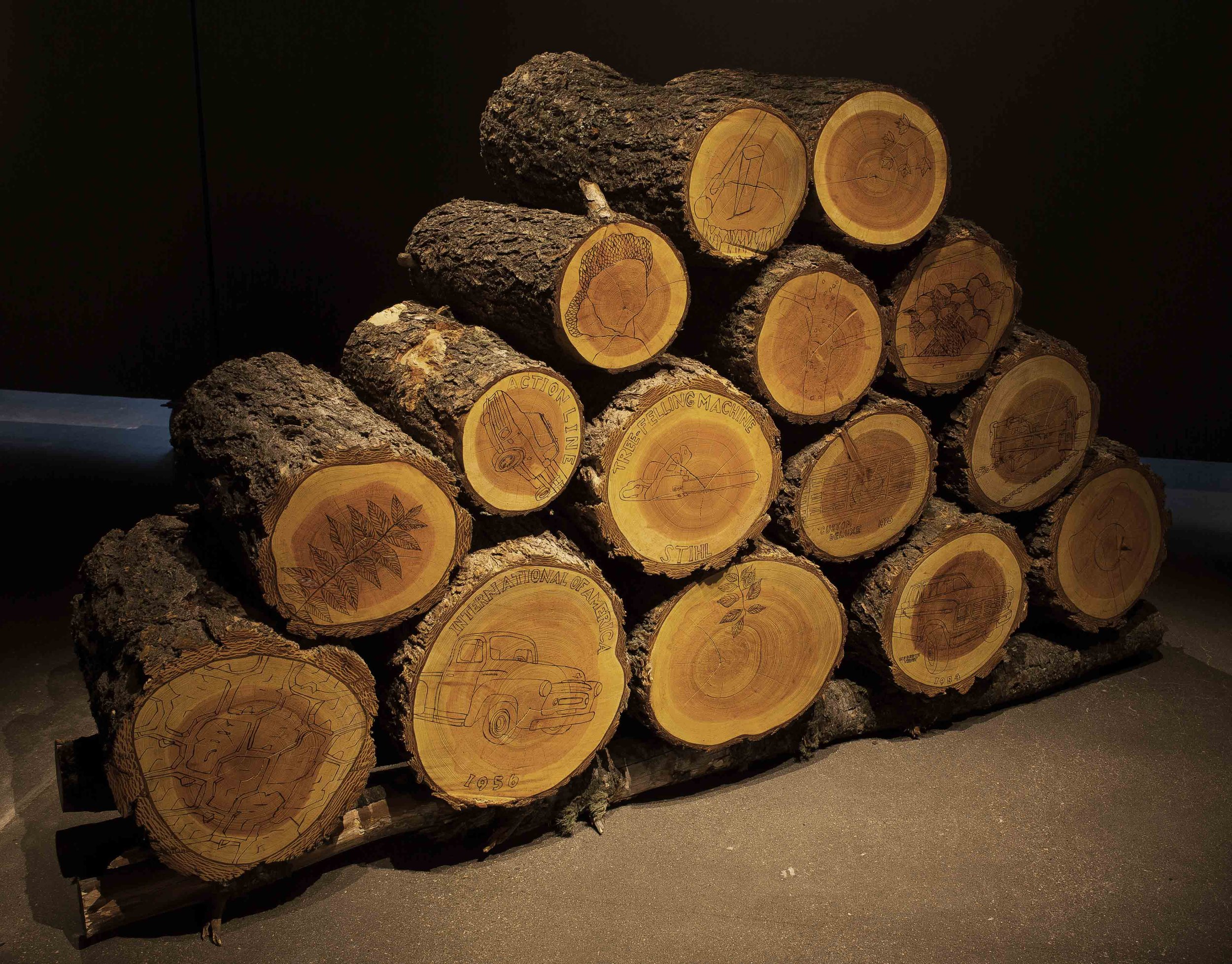 log closeup web.jpg
