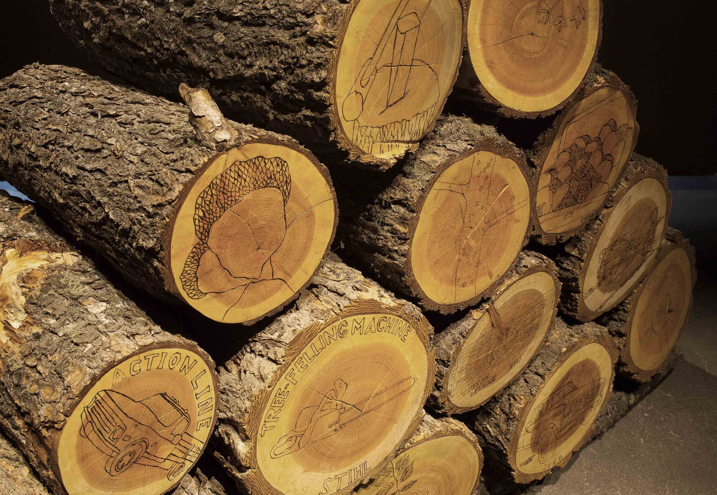 log detail web.jpg