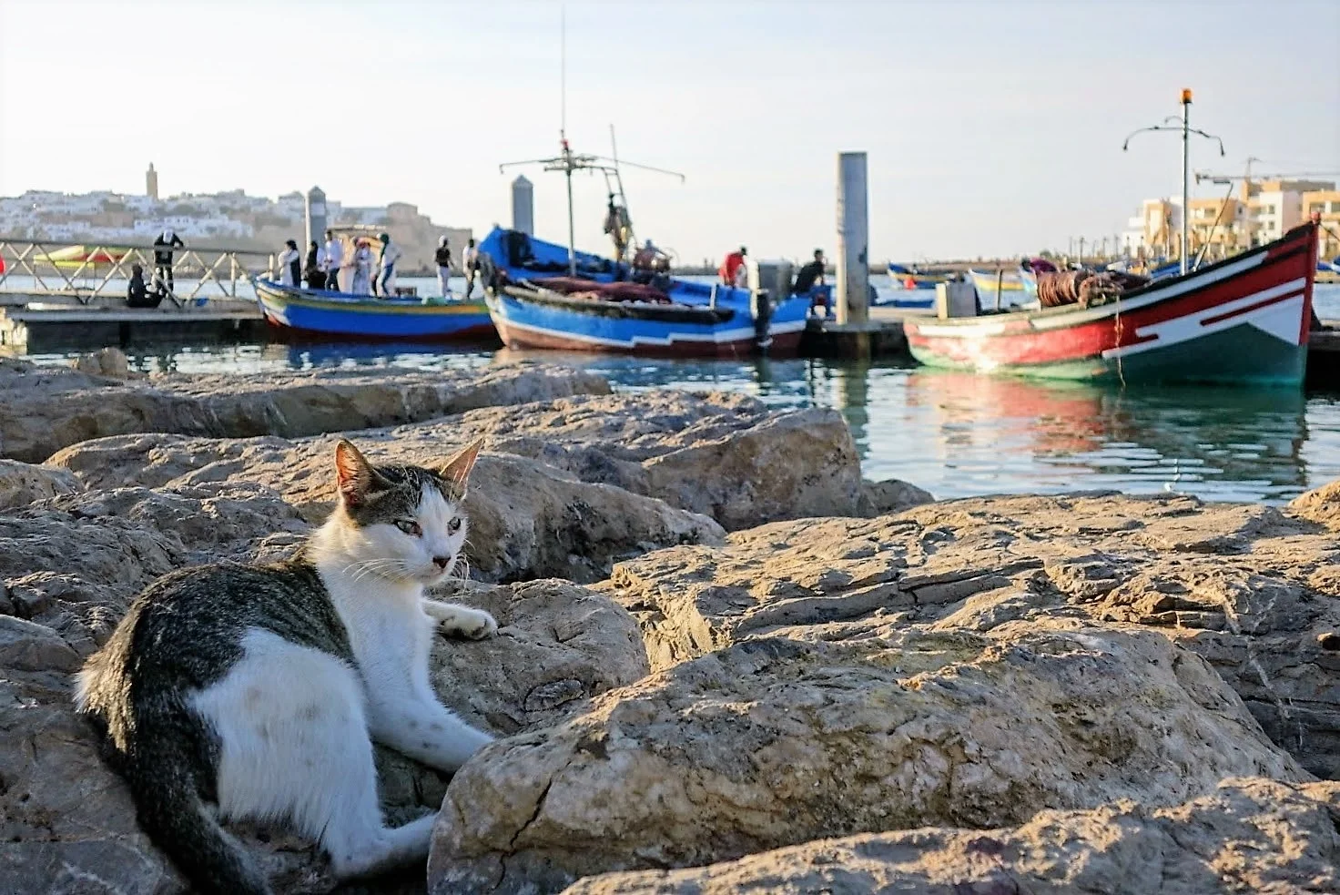 This photo from a fall 2017 student in Morocco won first place!