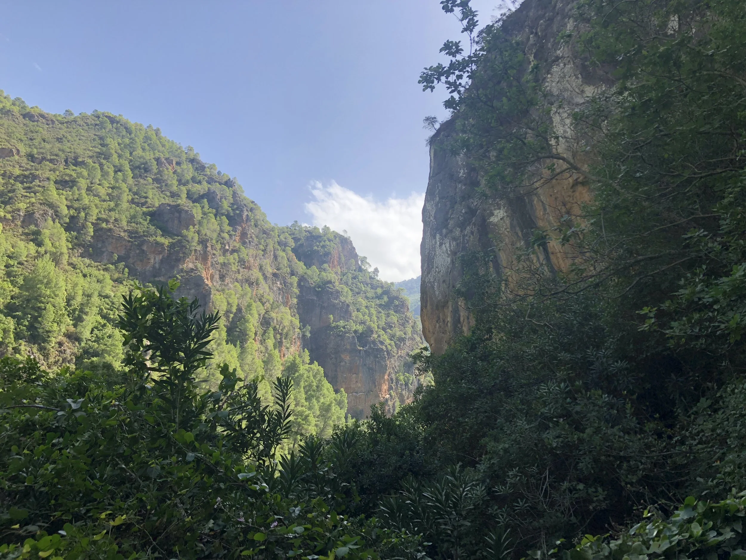 Photo credit: J. MIller, Fall 2018