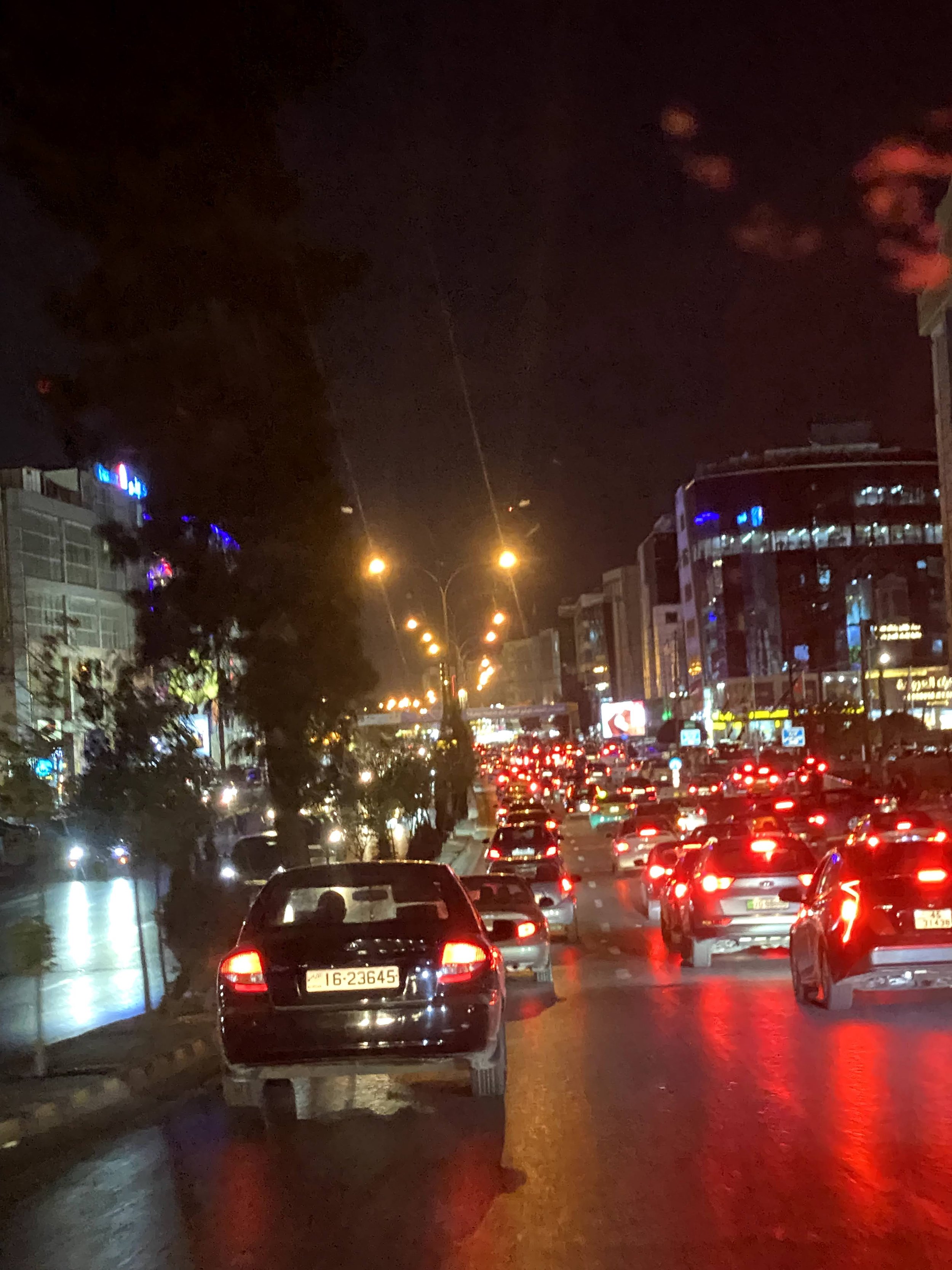 Skim mod Gå op Amman after Hours: City of Lights — Amideast Education Abroad Connect