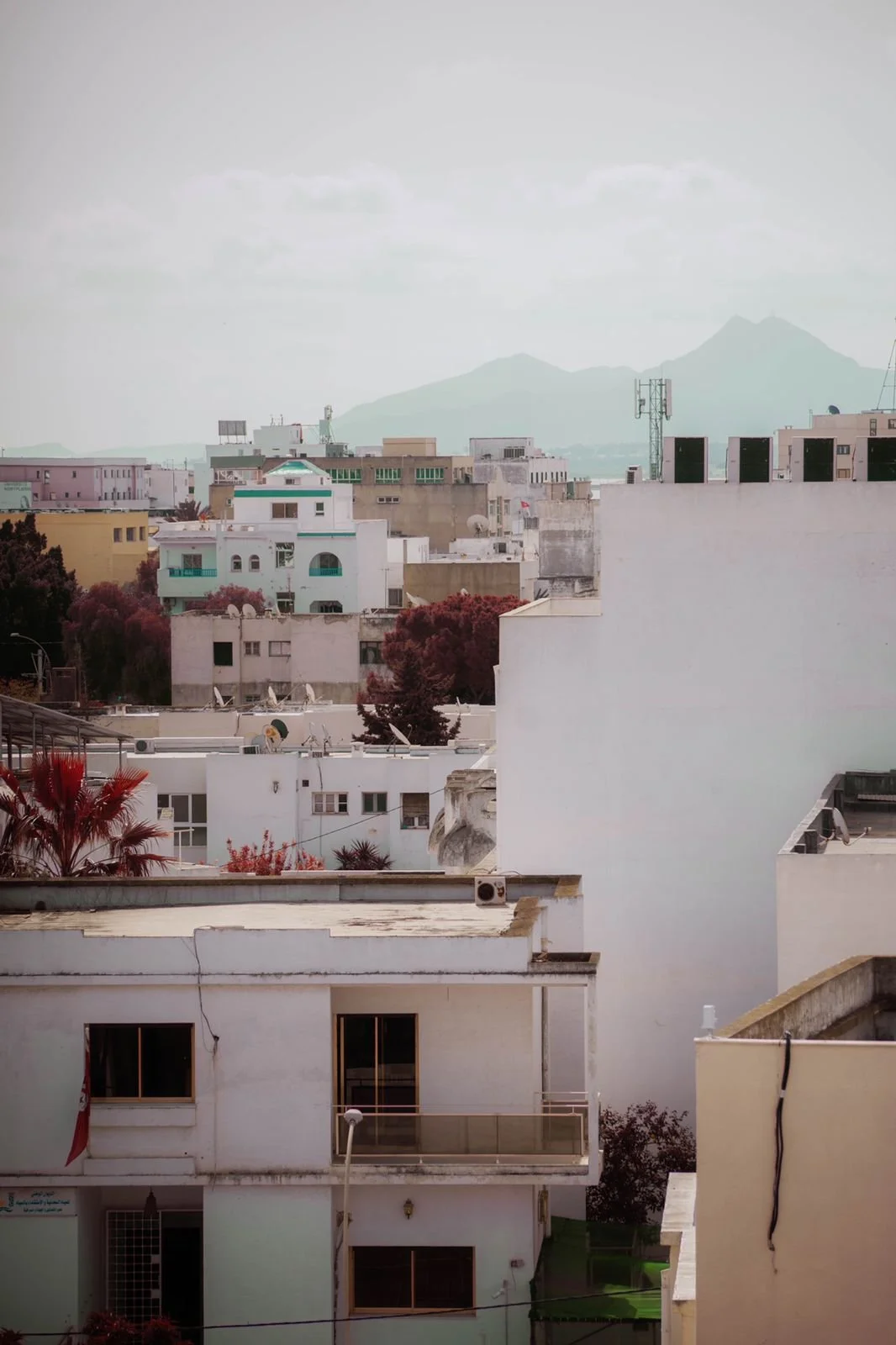 "Tunis in Ramadan" by Kayley Ronnkvist
