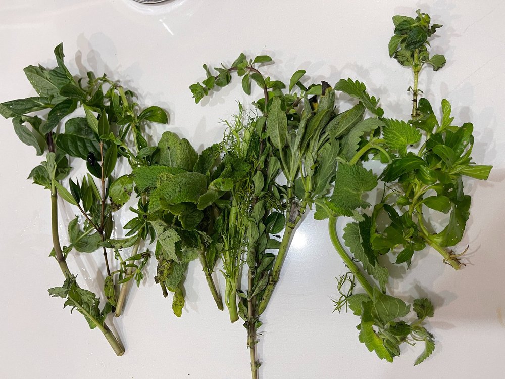 Herbs in Morocco — Amideast Education Abroad Connect