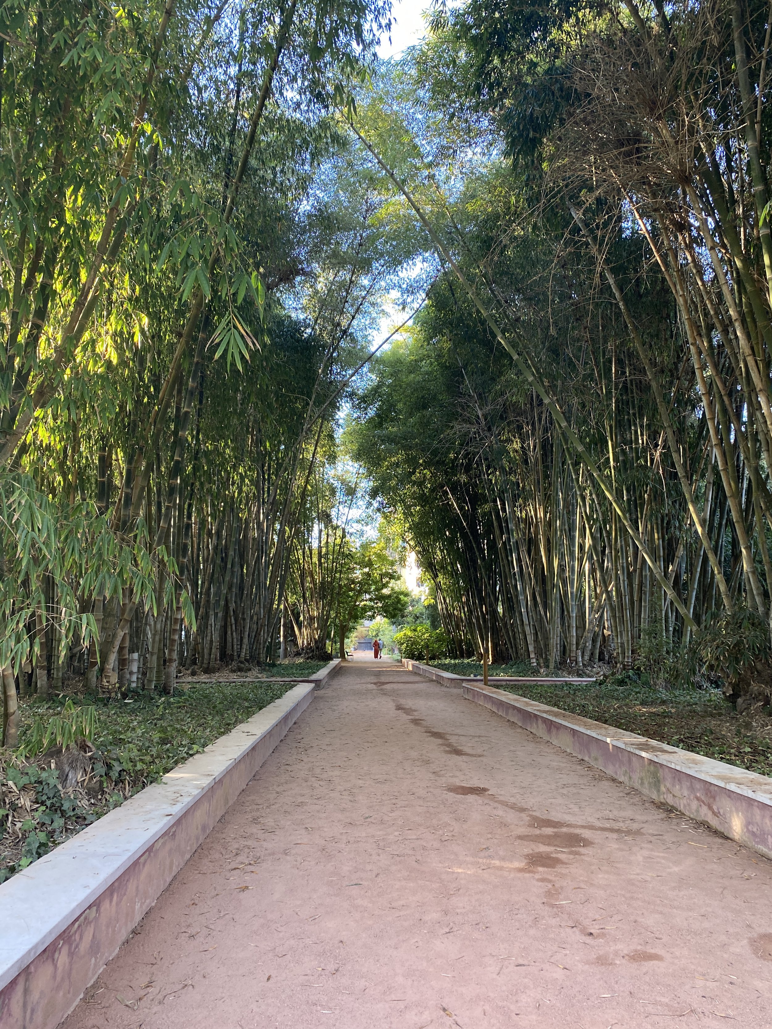  Pathway lined with trees in Andalusian Gardens. Photo credit: Avignon, 2022. 
