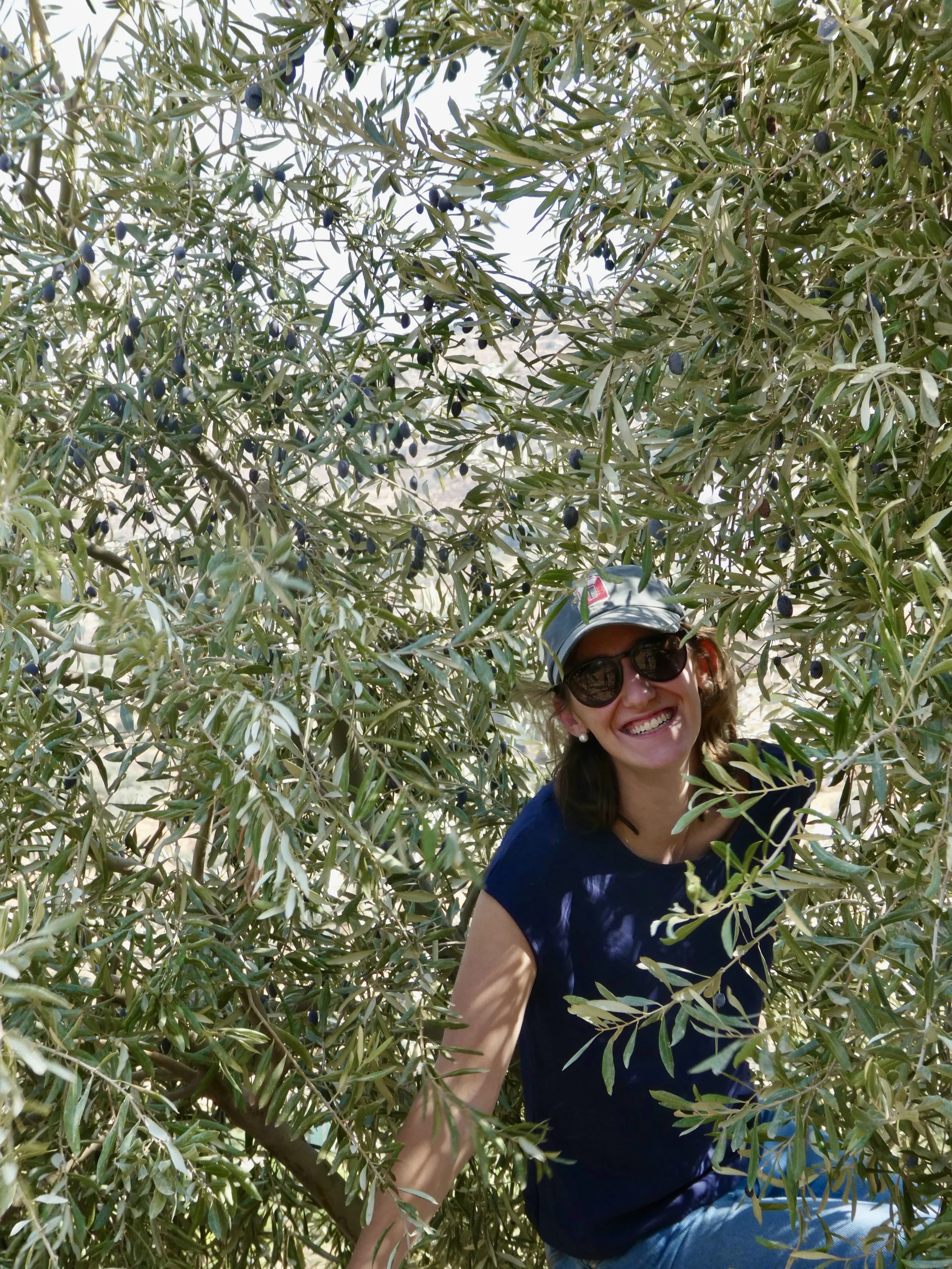 "بنت الزيتون - Girl of the Olives" by Xenia Makosky