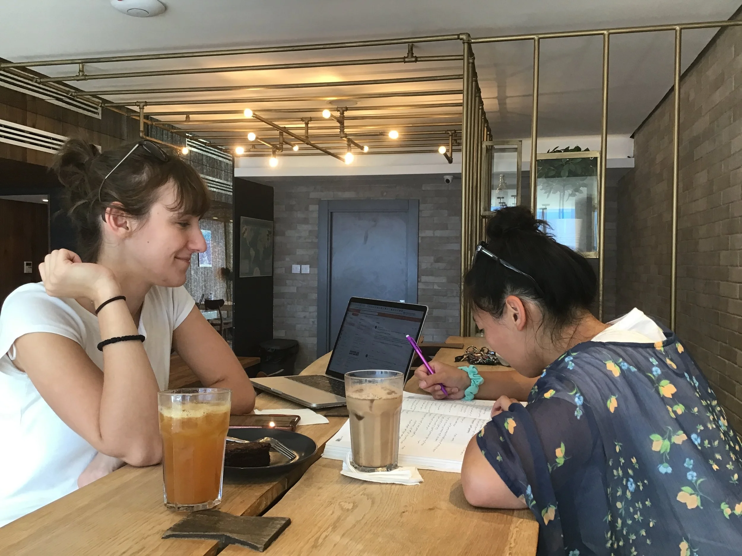 "Autodidact’s Guide to Beginning Arabic" by Sela Dombrower