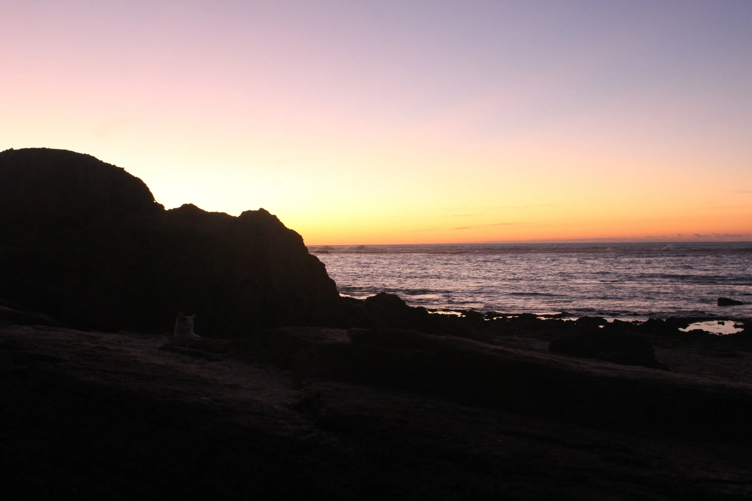 "Script of Two People on a Plane" by Connor Baldwin