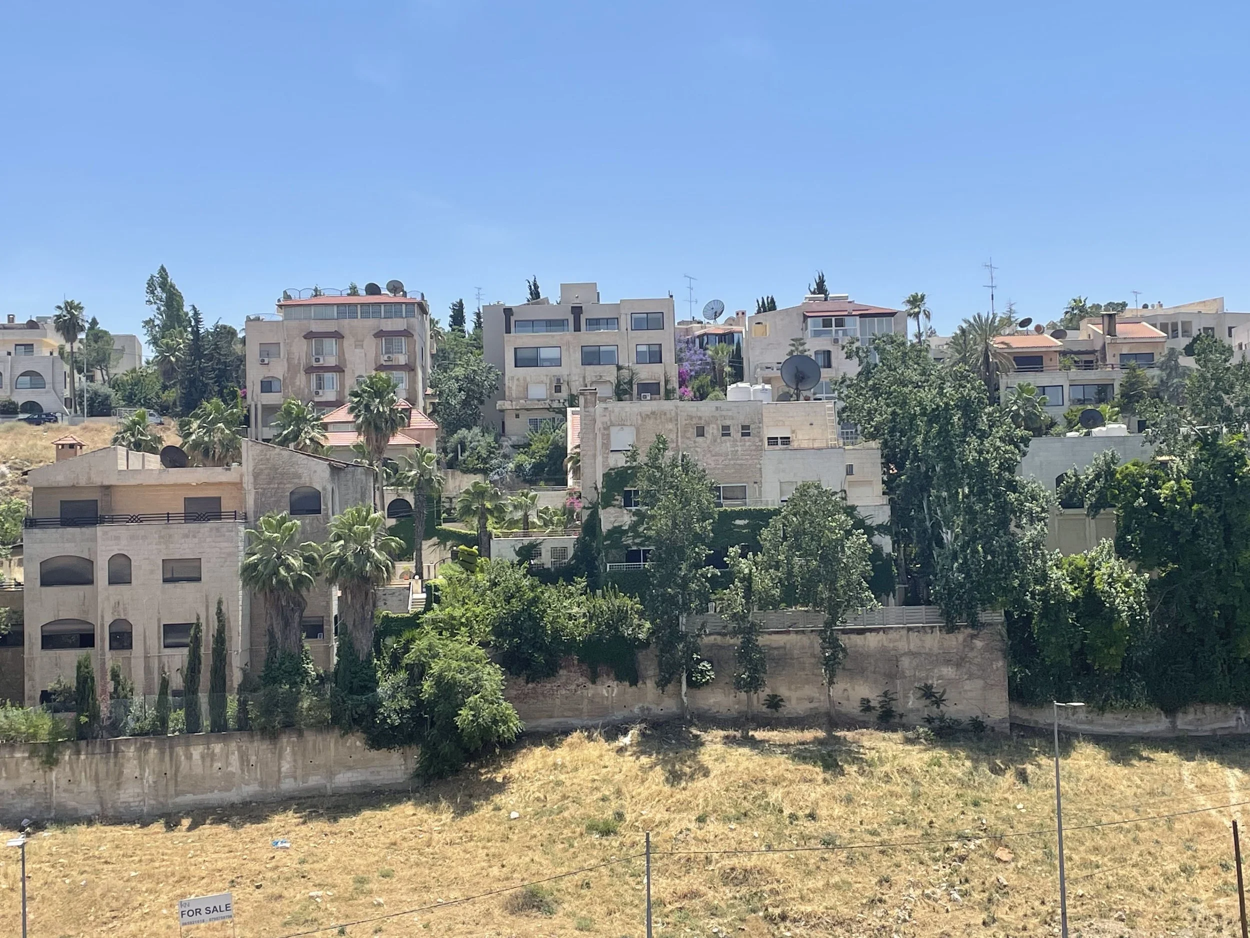 "Making the Most Out of Only One Summer Session in Amman" by Nora Elsetouhi