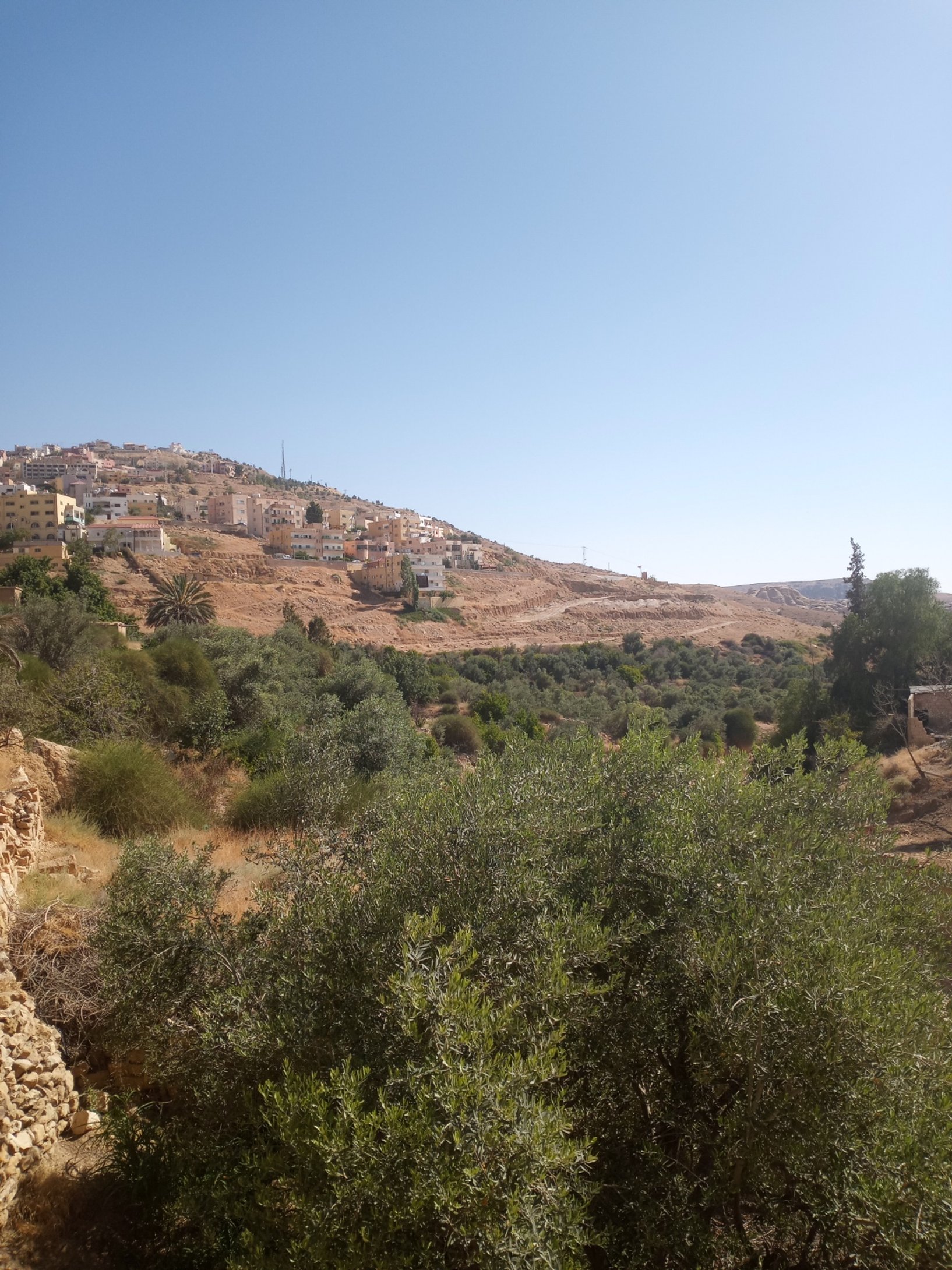 "Saying Goodbye" by Nora Grace Stoltzfus