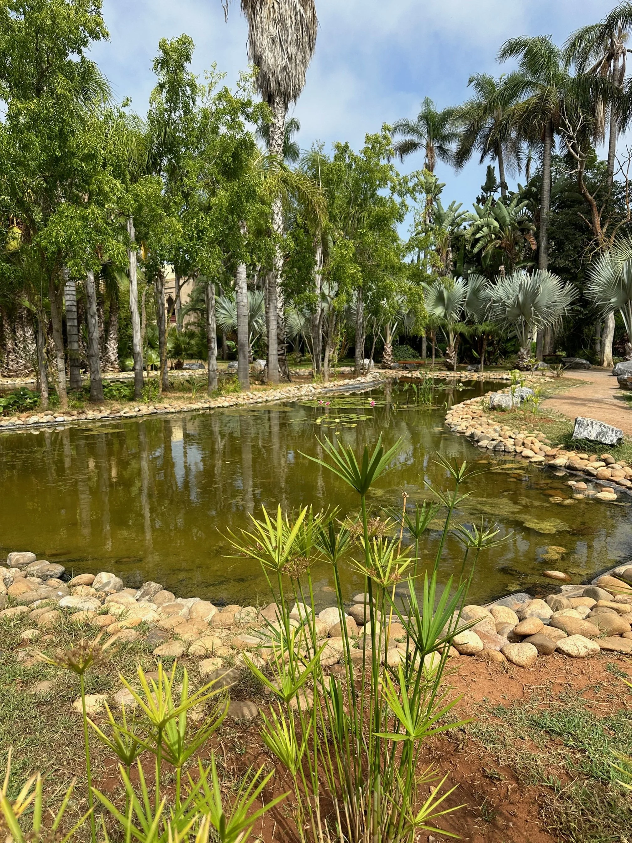 “A Virtual Tour of Morocco’s Gardens (featuring botanical wonders from Rabat and Marrakech)”  By Skyler Korkowski