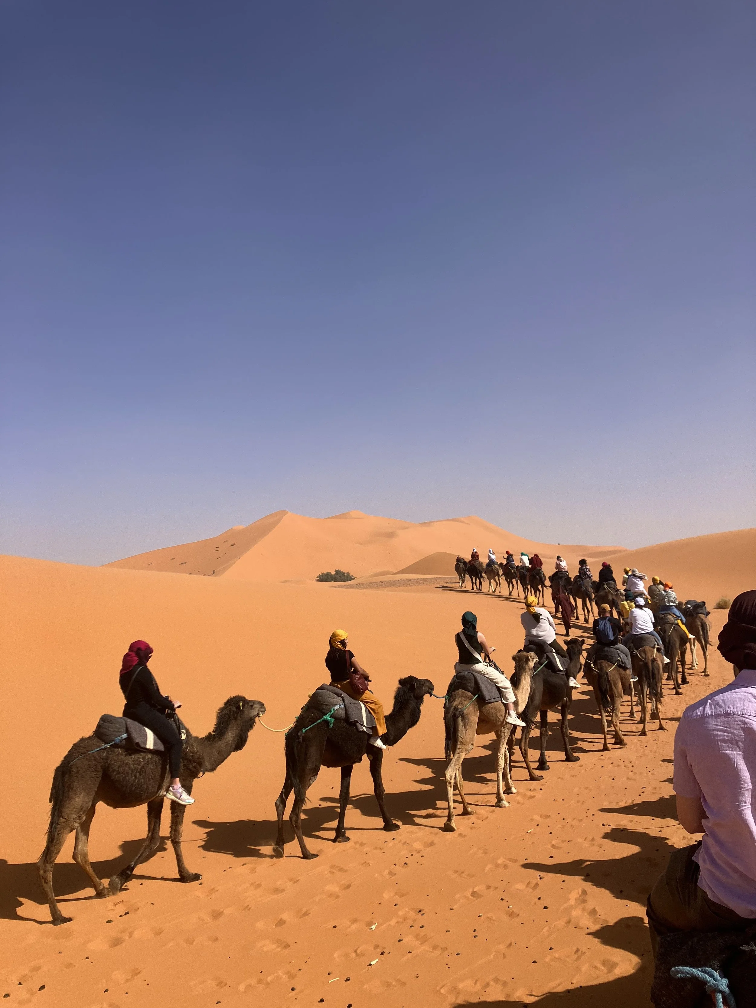 "Masalama Morocco!" by Molly Janicki
