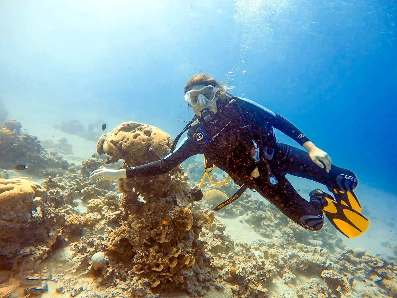 scuba diving in the Red Sea