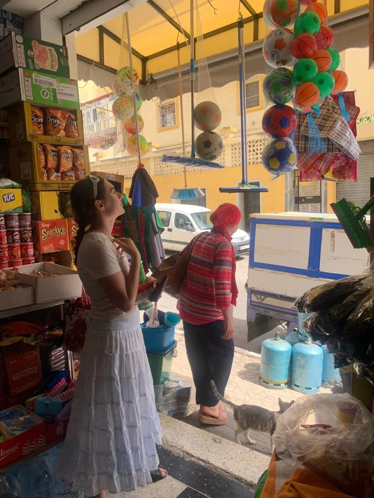 "Introducing Lulu von Sauer" by Lulu von Sauer