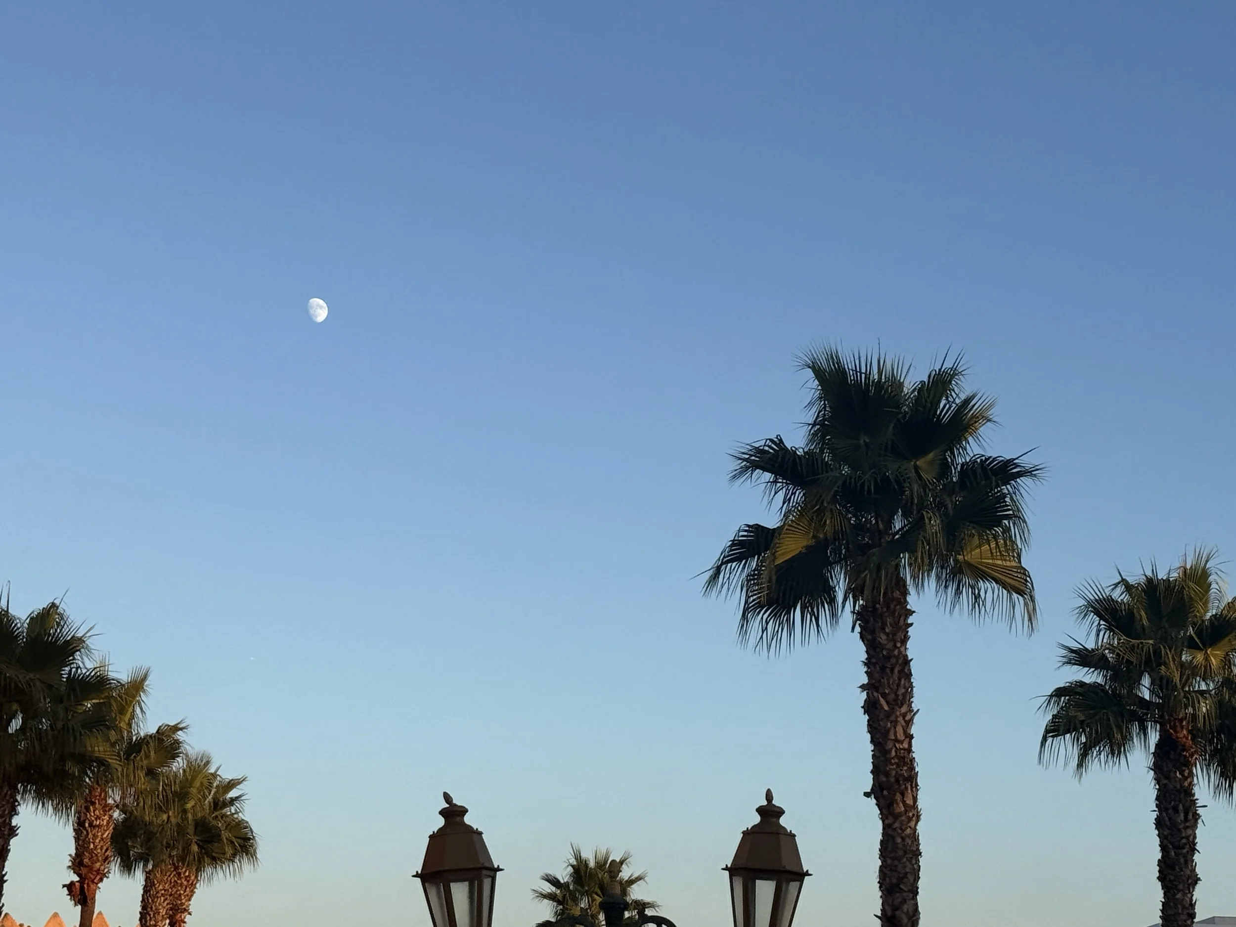 "Developing a New Narrative of Morocco" by Hope Ninmann