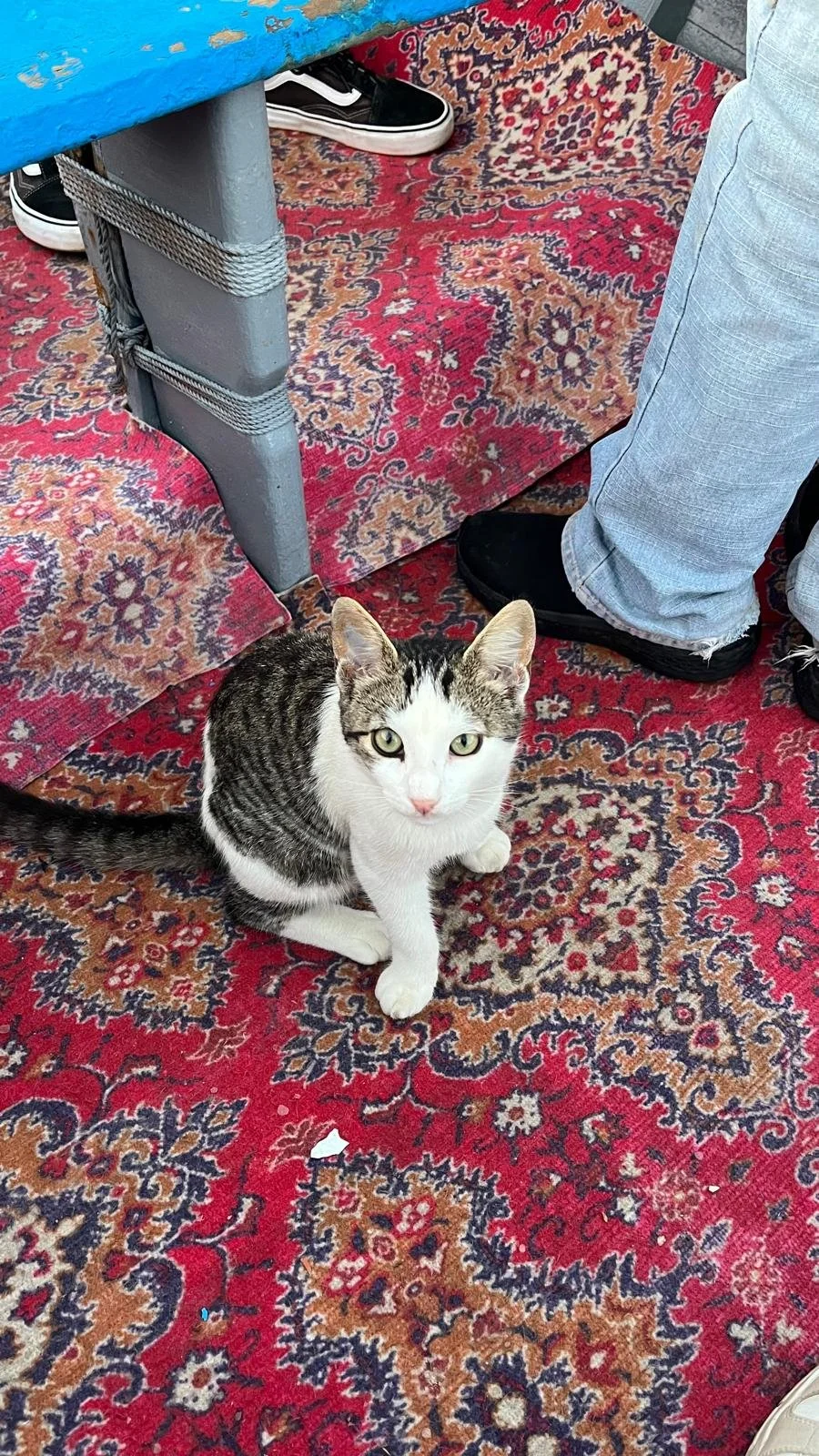 "Tutorial: How to Take a Rowboat Across the Bouregreg River" by Emilia Perez