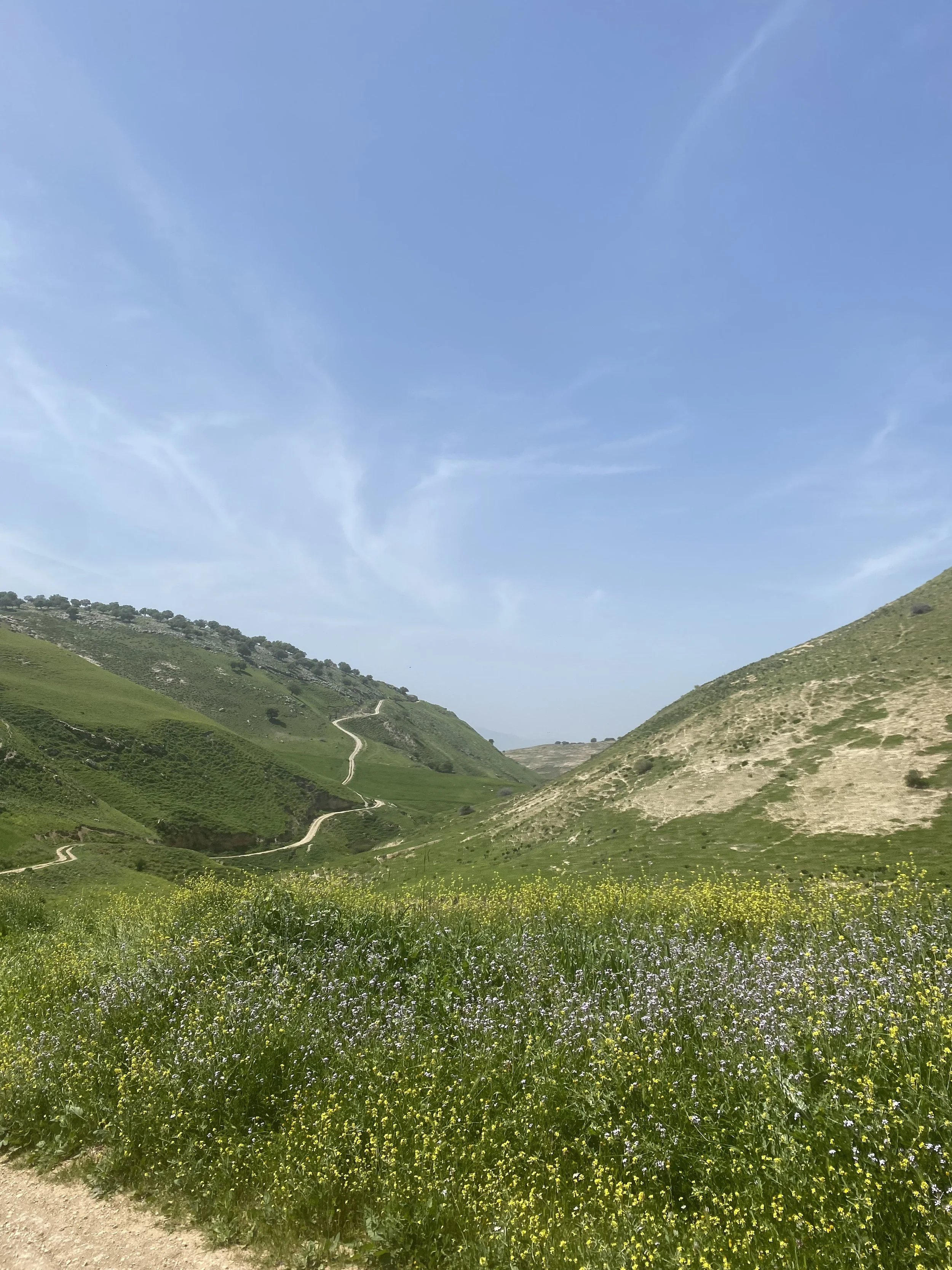 "Visiting the Farms in Jordan is a Must!" by Megan Awwad