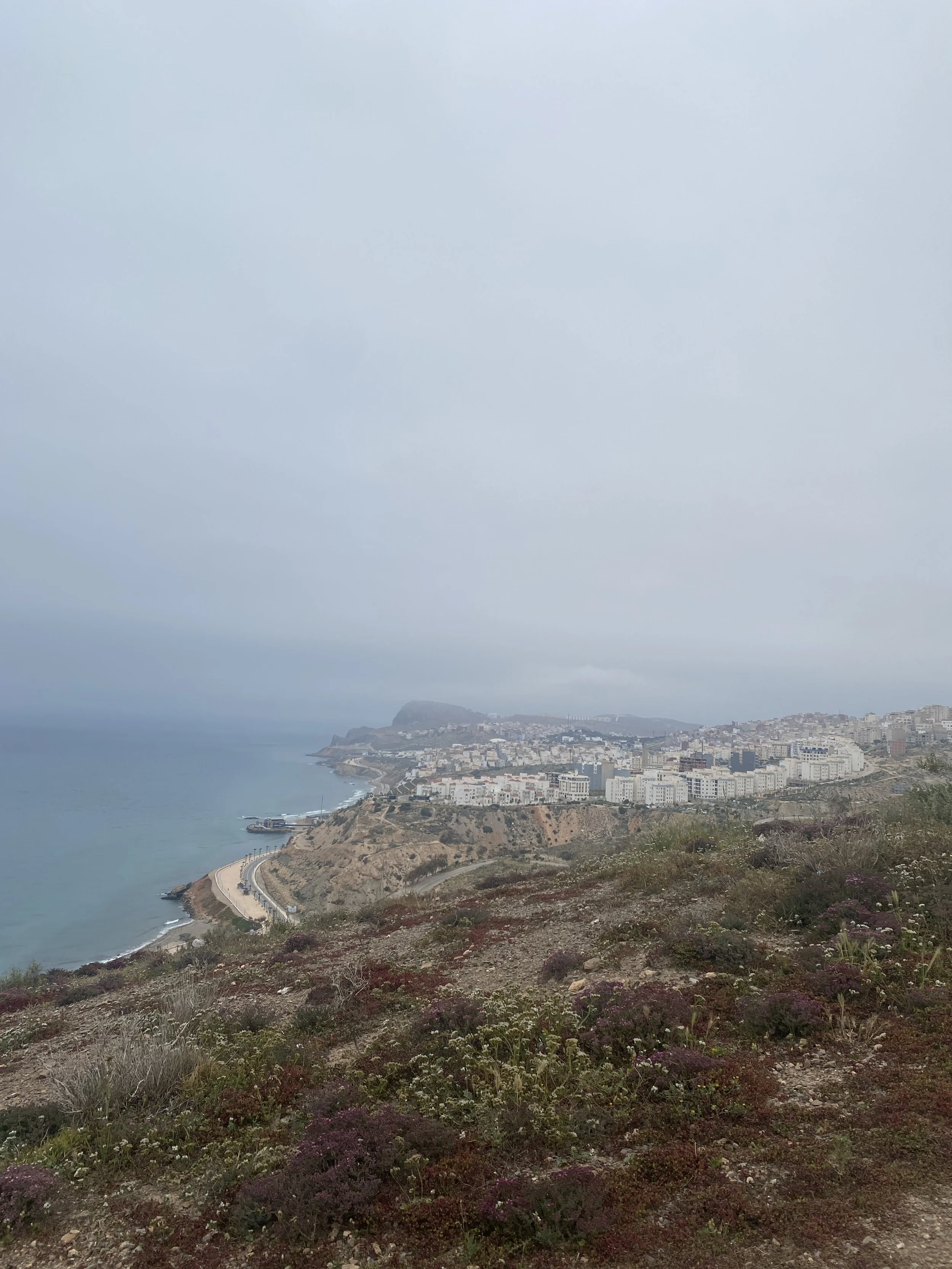 View of a city on the water from a viewpoint