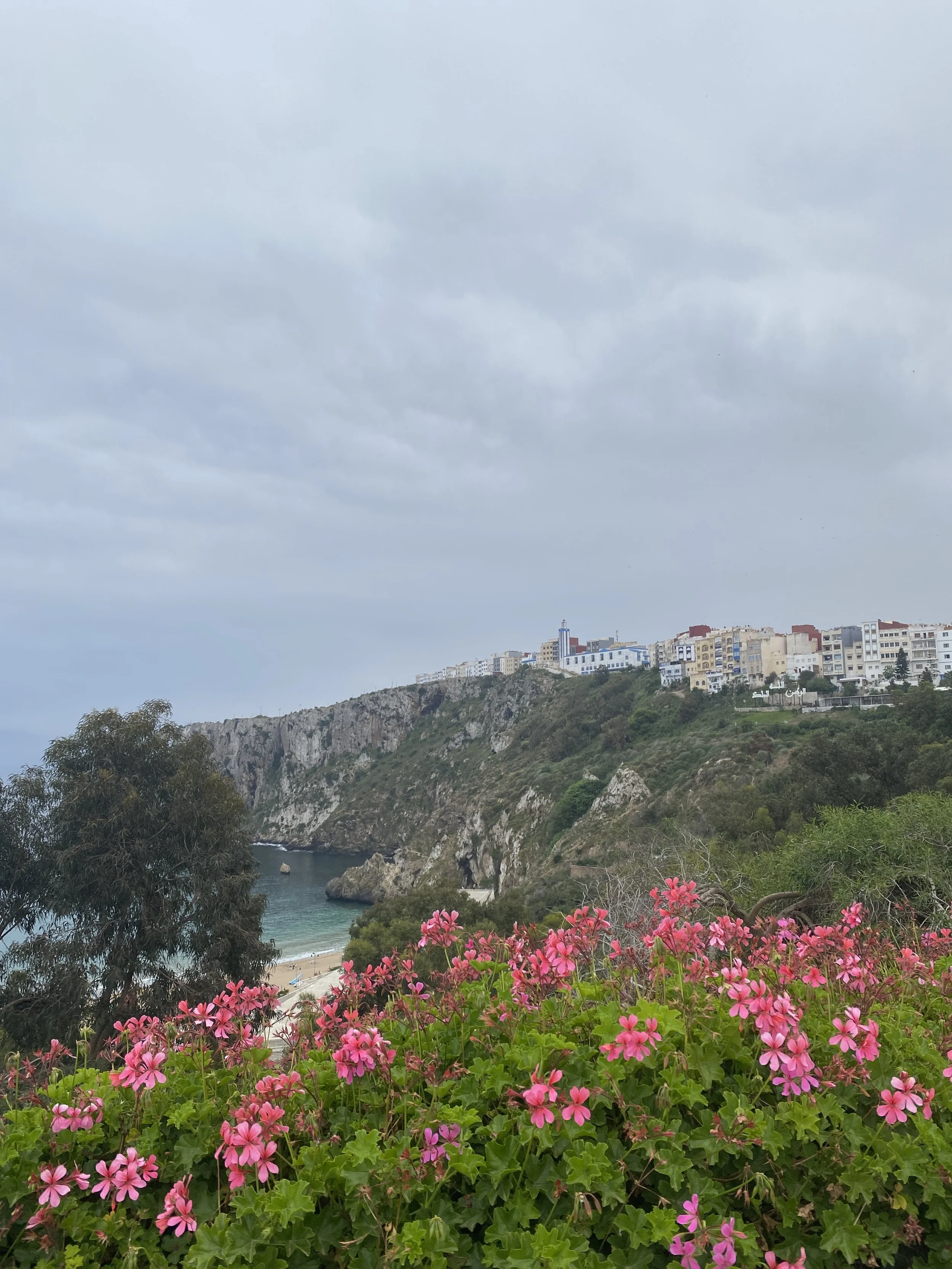 Flowers overlook a beach surrounded by cliffs