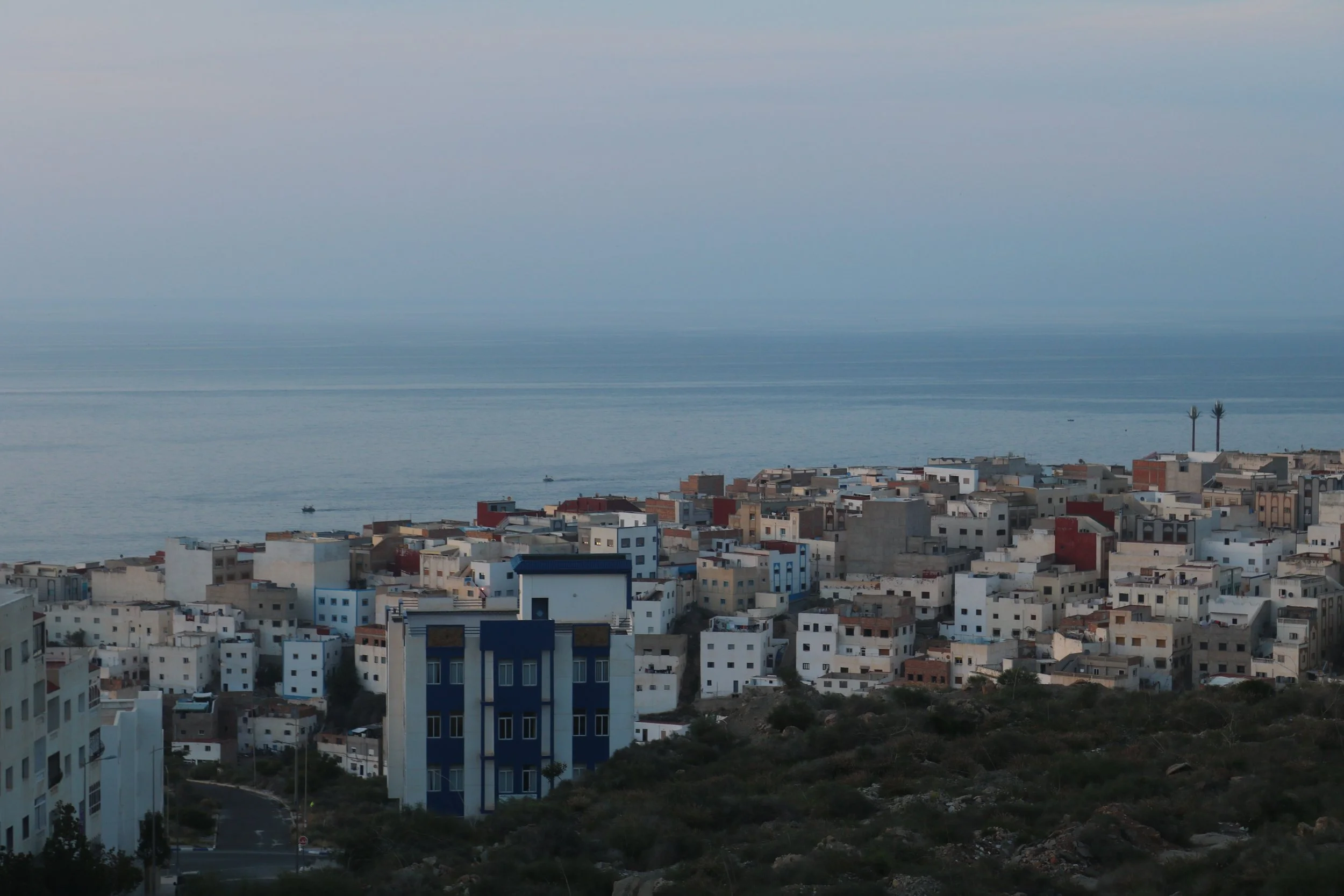 Overlook of an oceanside city