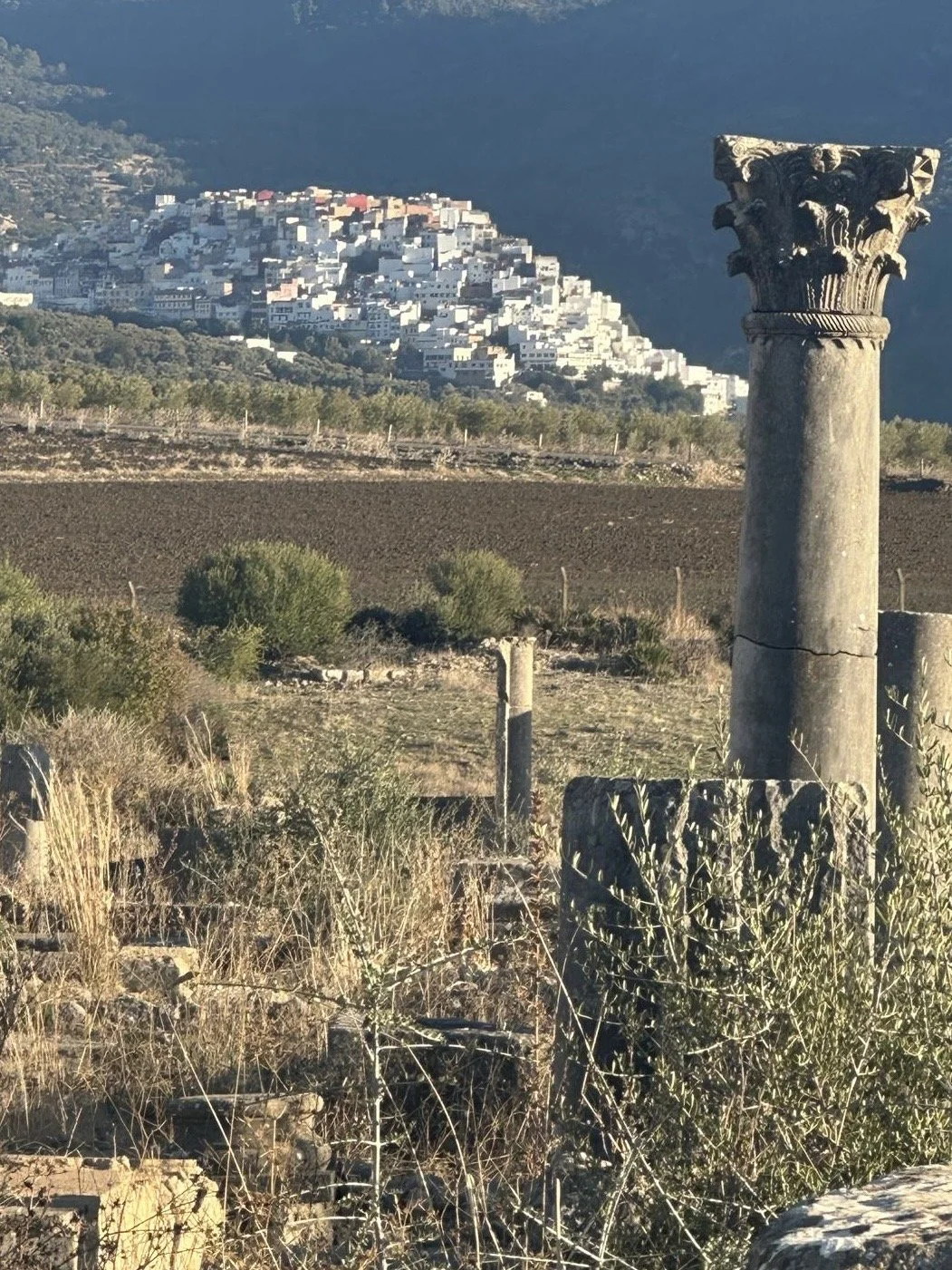 A town comprised of primarily white buildings sits in the distance beyond a column standing on its own