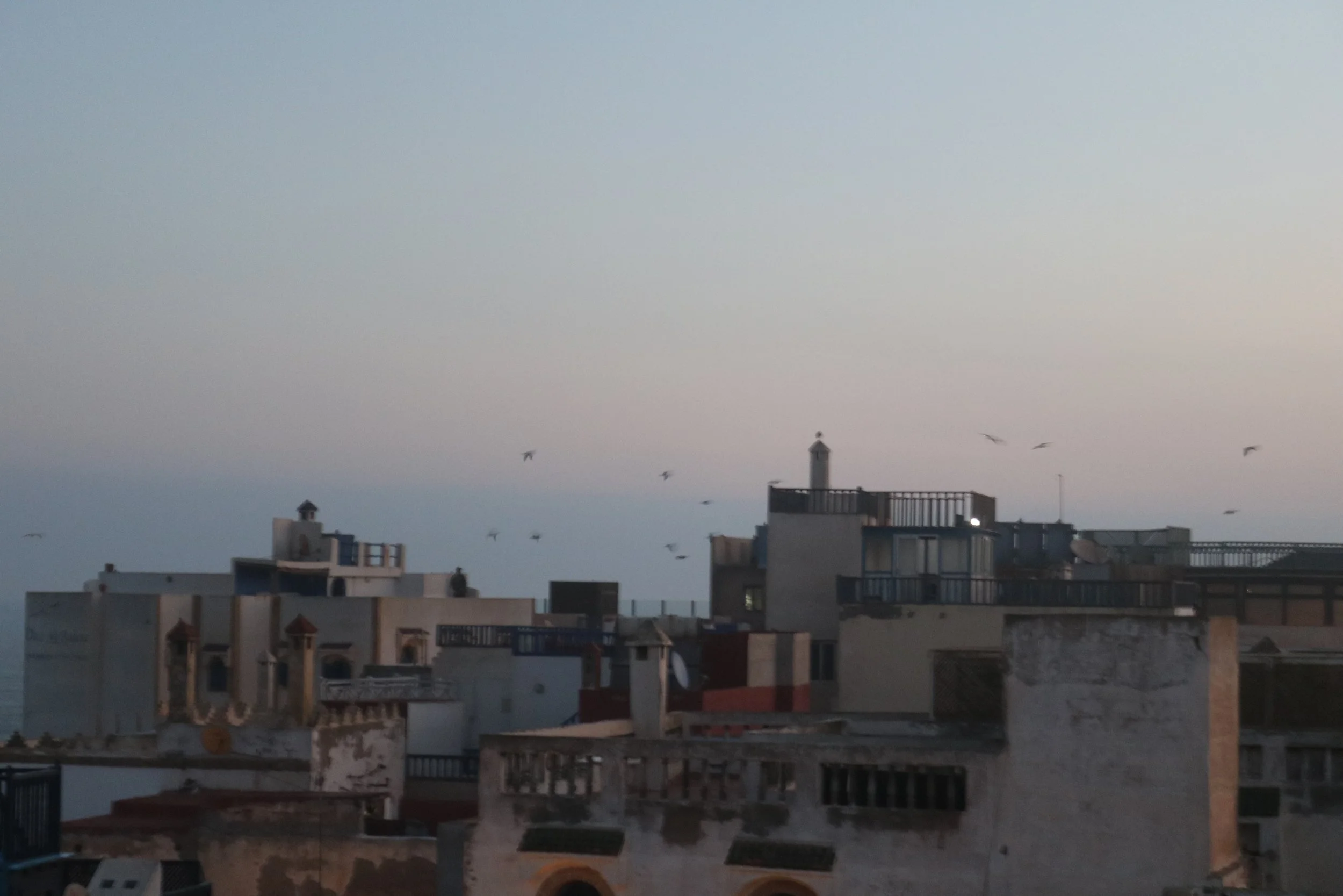 A view out over buildings in the city with low morning light and birds flying over the buildings.