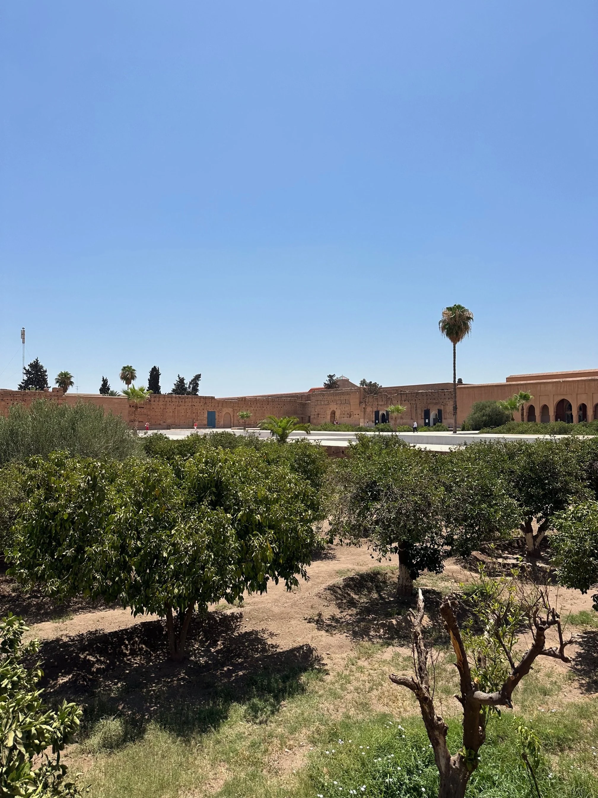 Old palace walls line the perimeter of a garden with short trees and it all sits under a blue sky