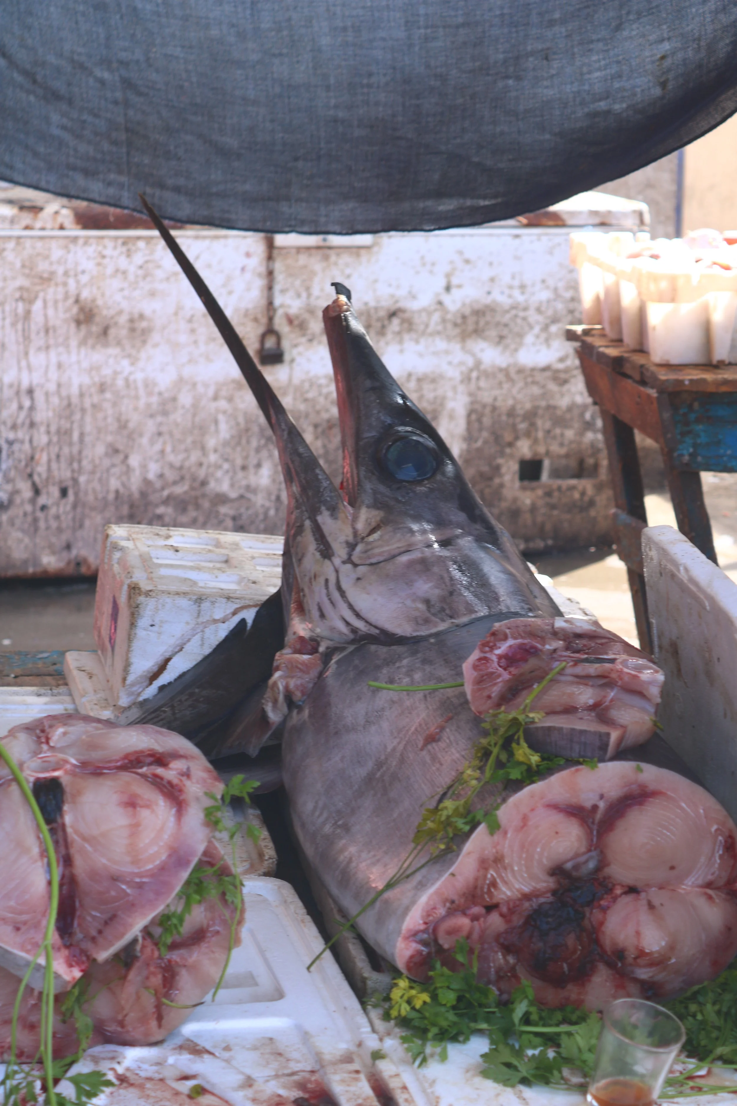 Several large half butchered fish sit under a tarp at a fish market