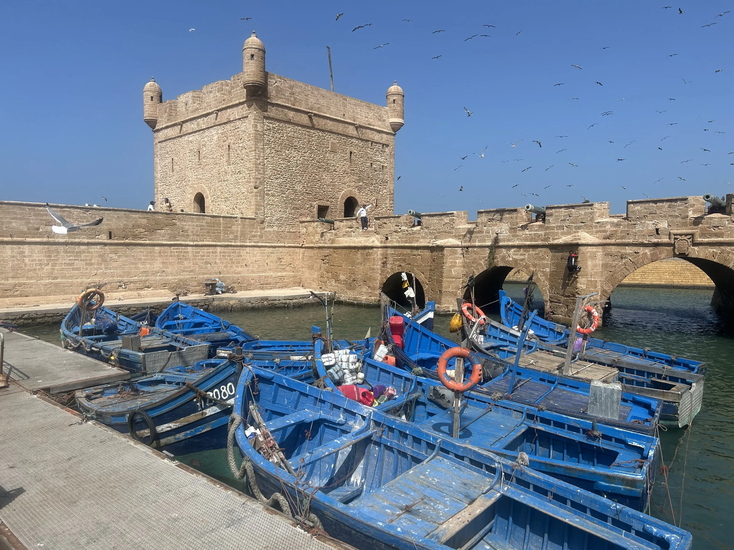 Blue boats sit in a marina formed by an ancient watchtower and bridge that protect against the waves of the ocean. Seagulls fly in the blue sky.