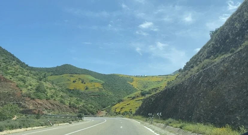 Empty road through green mountains