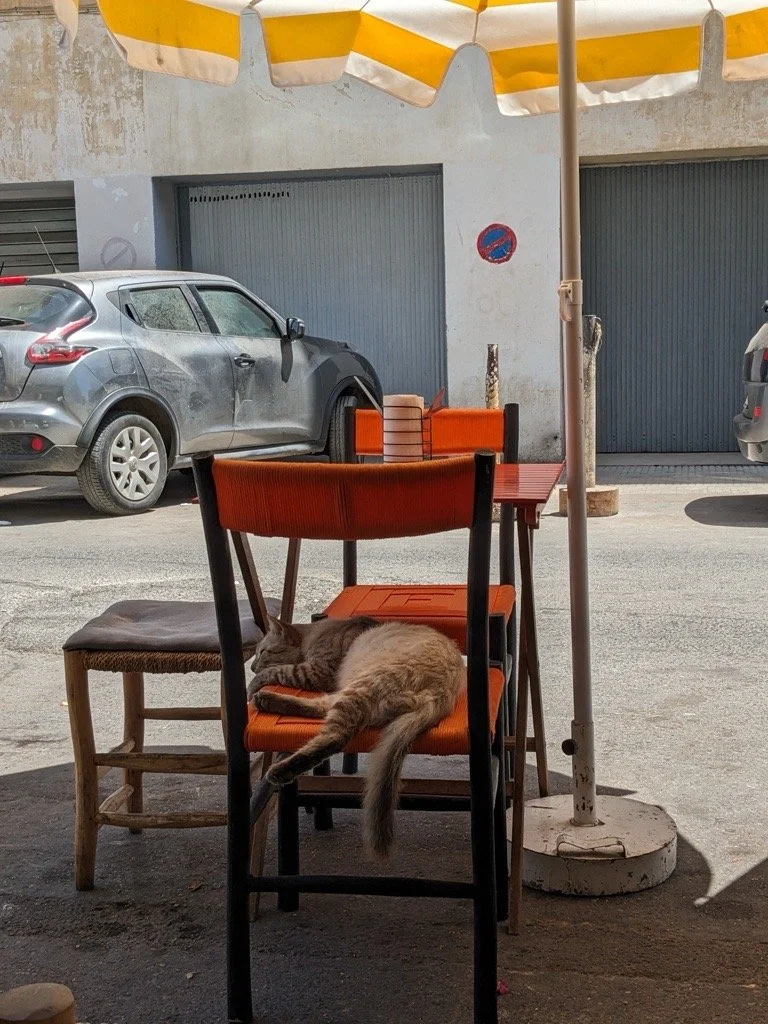 A cat sits on an orange chair at a table under an umbrella at a cafe on the side of a street.