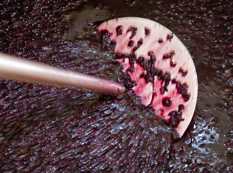 CF manual extraction.jpg